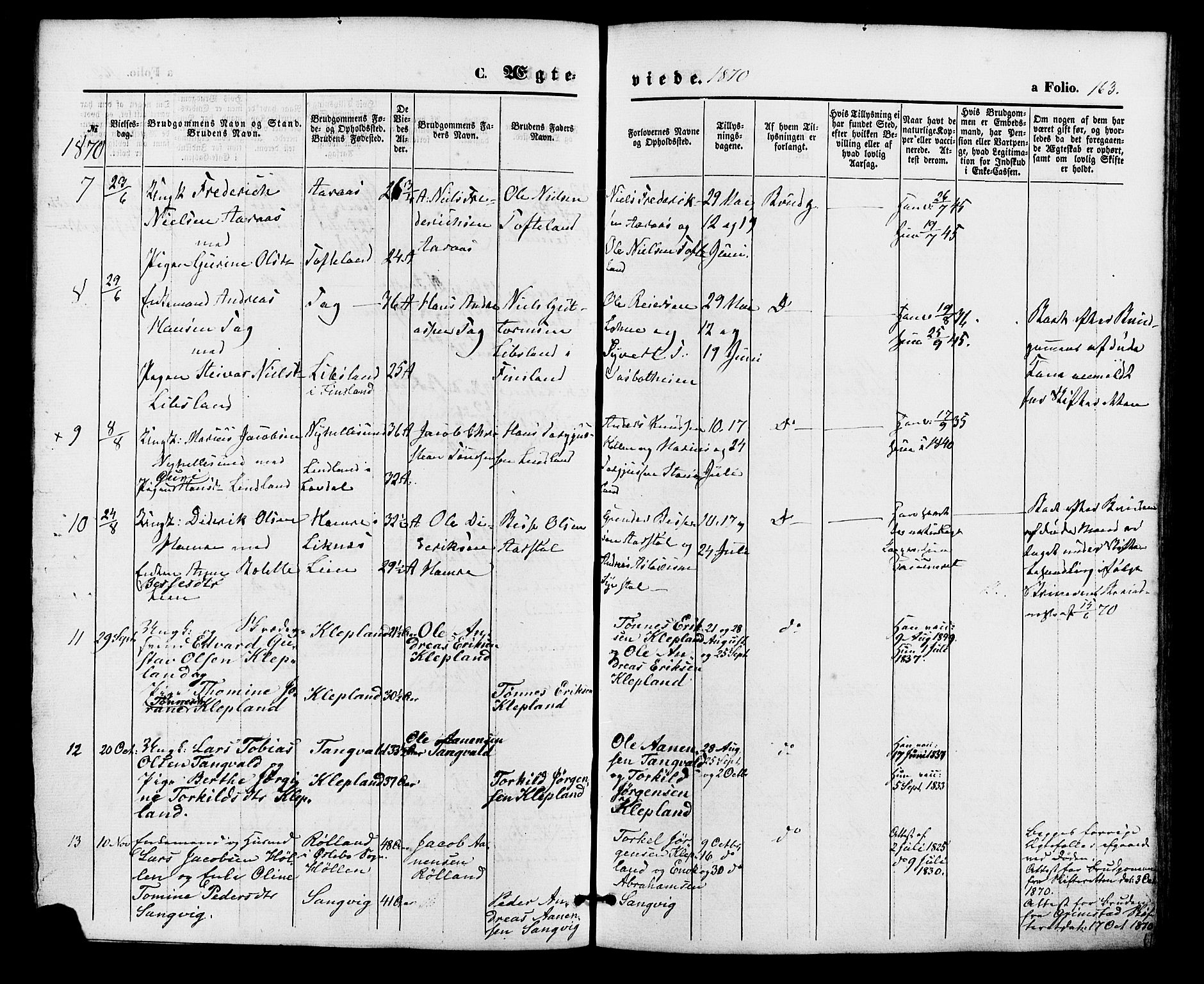 Søgne sokneprestkontor, SAK/1111-0037/F/Fa/Fab/L0011: Parish register (official) no. A 11, 1869-1879, p. 163