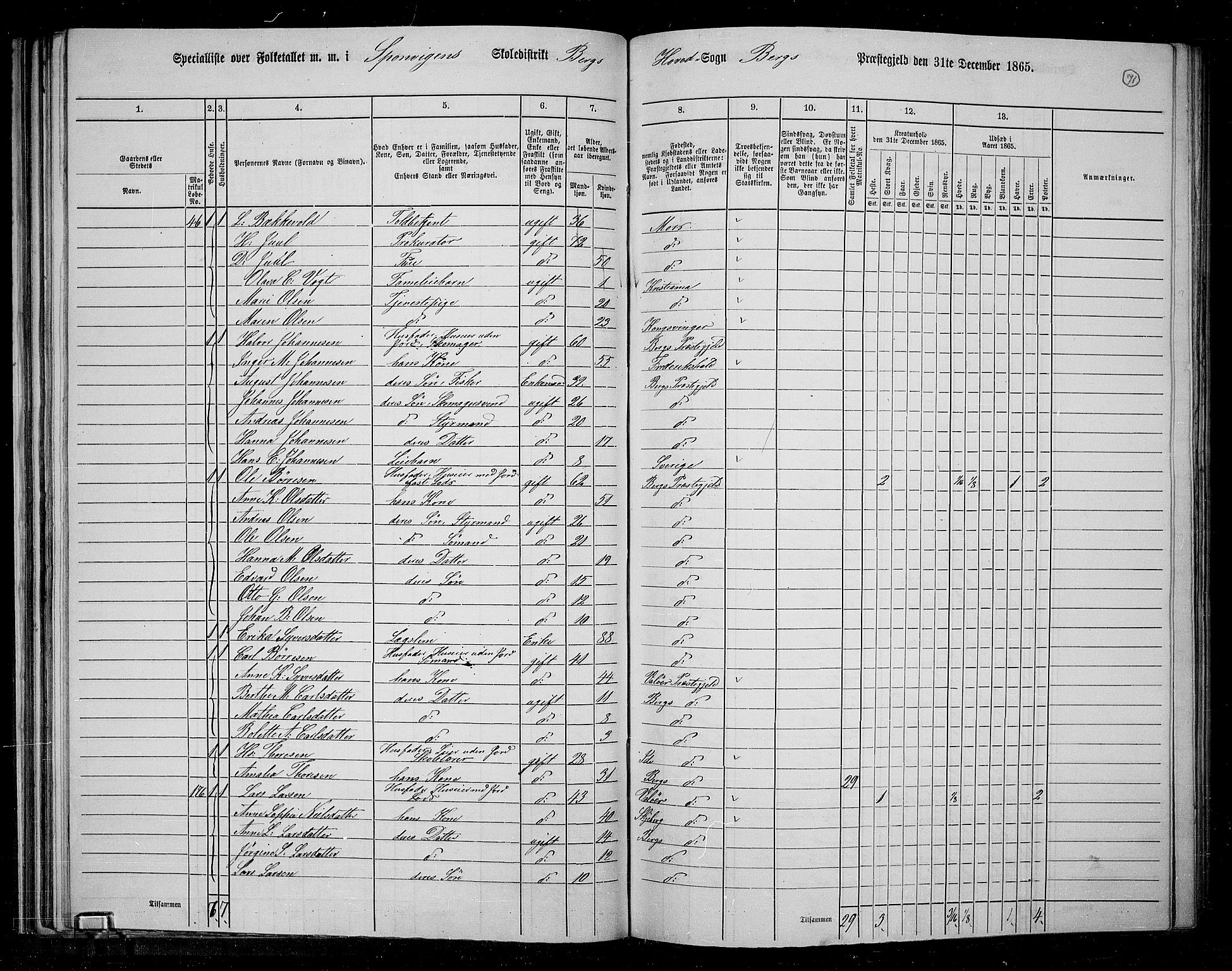 RA, 1865 census for Berg, 1865, p. 64