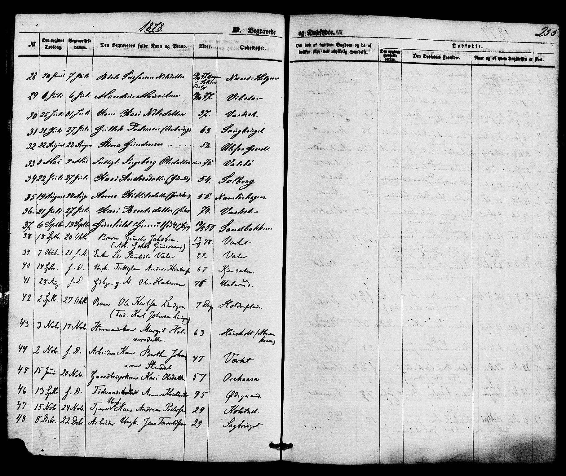 Holla kirkebøker, AV/SAKO-A-272/F/Fa/L0007: Parish register (official) no. 7, 1869-1881, p. 255