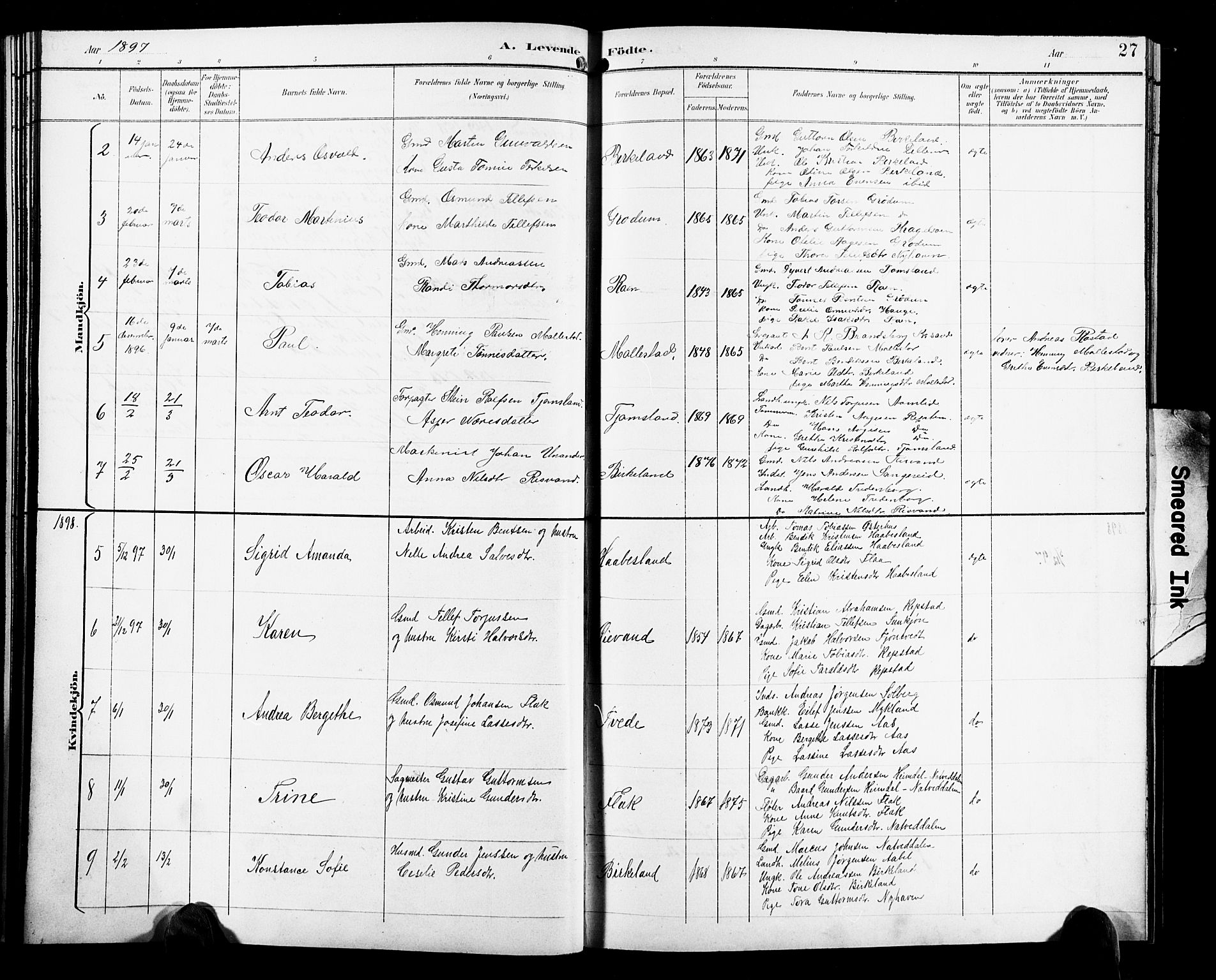 Birkenes sokneprestkontor, SAK/1111-0004/F/Fb/L0004: Parish register (copy) no. B 4, 1893-1930, p. 27