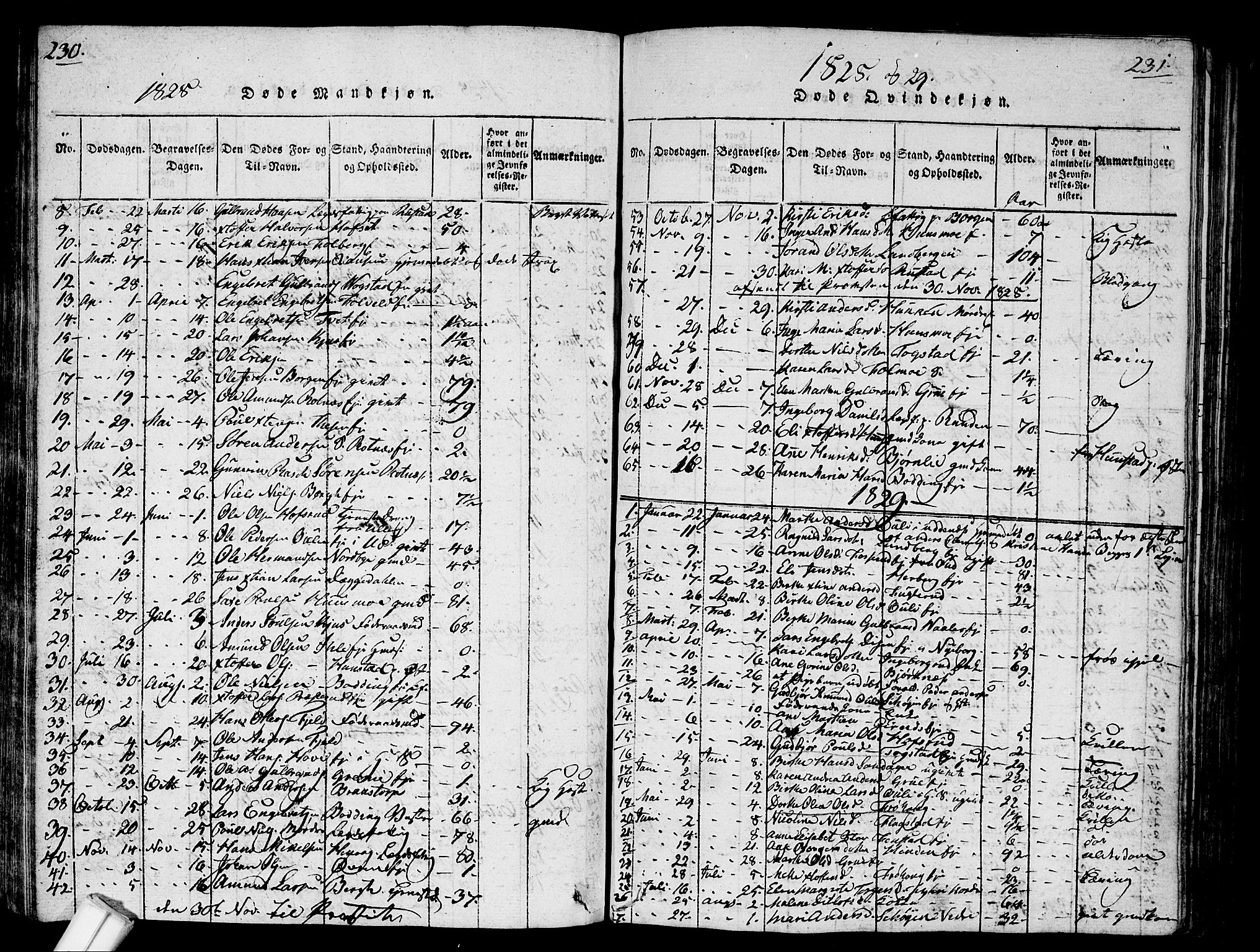 Nes prestekontor Kirkebøker, SAO/A-10410/G/Ga/L0001: Parish register (copy) no. I 1, 1815-1835, p. 230-231