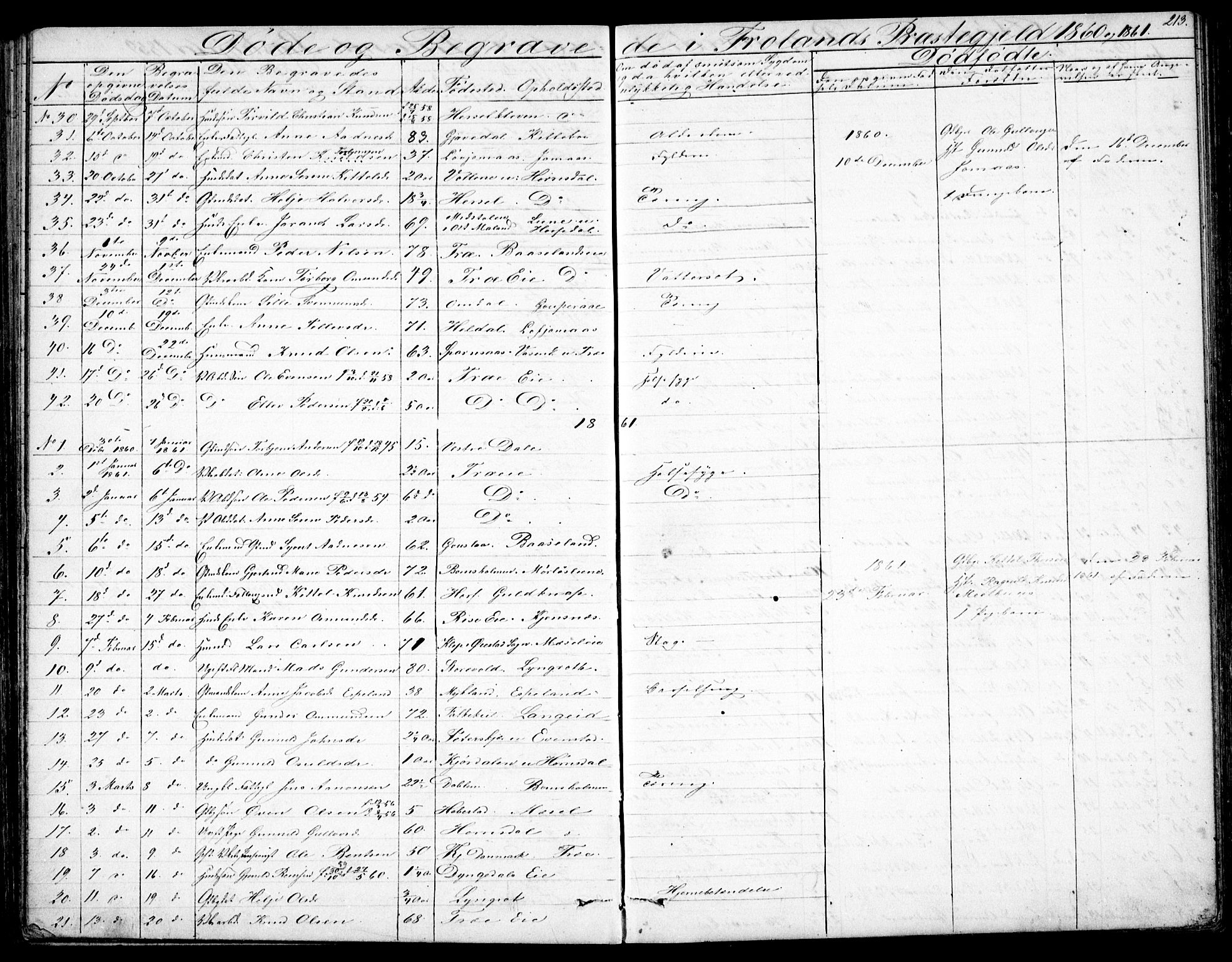 Froland sokneprestkontor, SAK/1111-0013/F/Fb/L0008: Parish register (copy) no. B 8, 1843-1875, p. 213