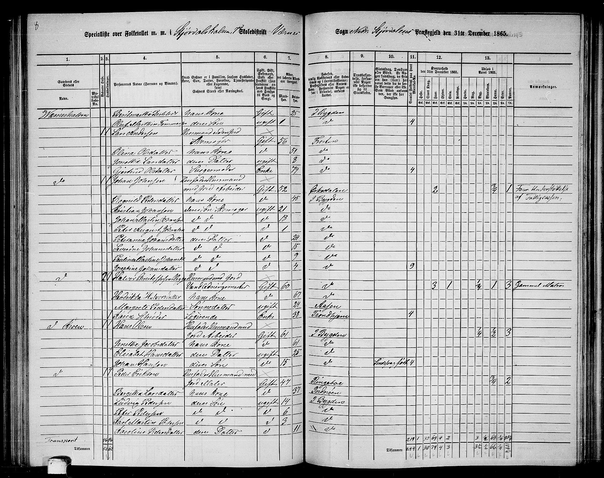 RA, 1865 census for Nedre Stjørdal, 1865, p. 159