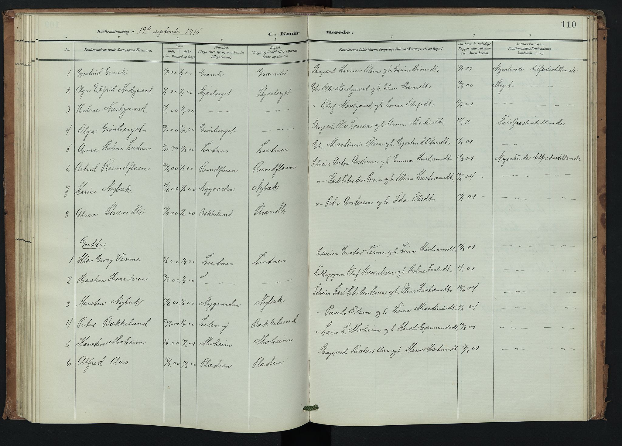 Trysil prestekontor, AV/SAH-PREST-046/H/Ha/Hab/L0008: Parish register (copy) no. 8, 1900-1950, p. 110