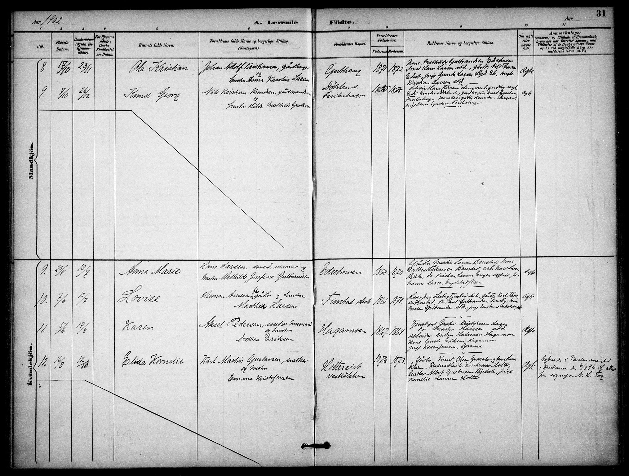 Nannestad prestekontor Kirkebøker, AV/SAO-A-10414a/F/Fb/L0002: Parish register (official) no. II 2, 1891-1909, p. 31