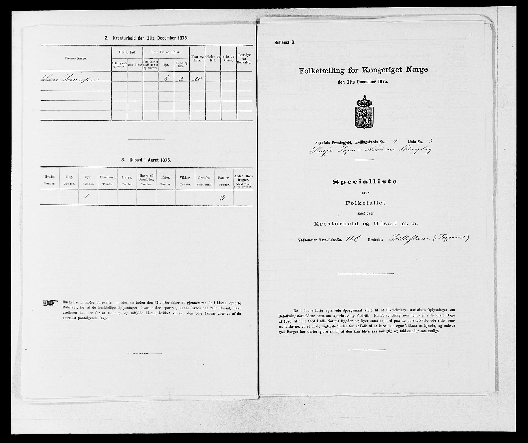 SAB, 1875 census for 1420P Sogndal, 1875, p. 818