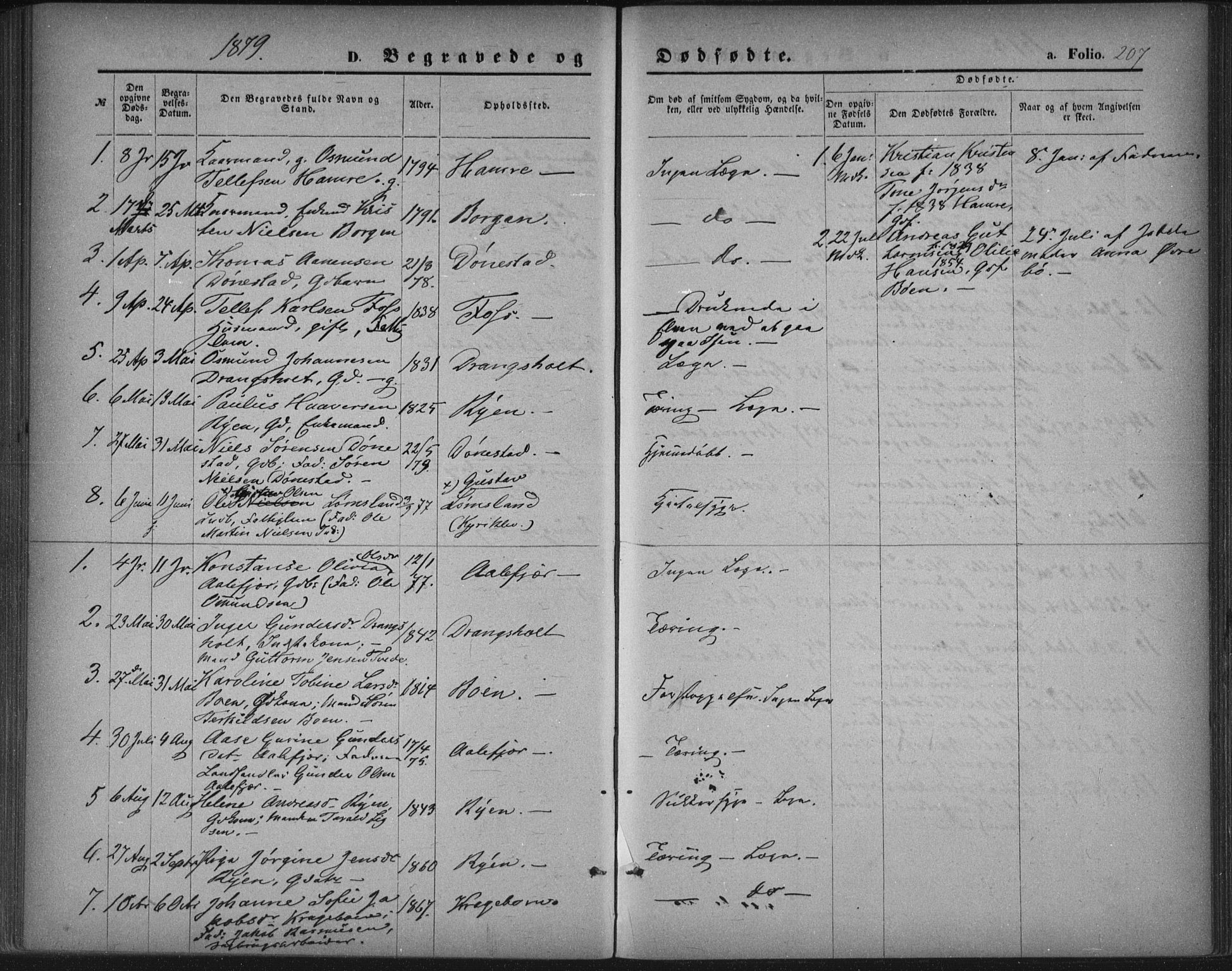 Tveit sokneprestkontor, SAK/1111-0043/F/Fa/L0006: Parish register (official) no. A 6, 1872-1886, p. 207