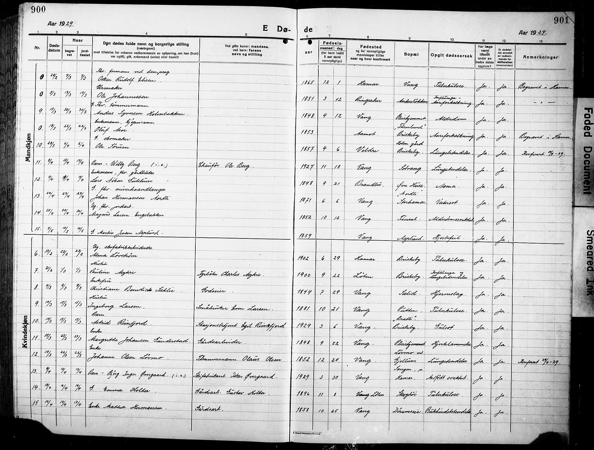 Vang prestekontor, Hedmark, AV/SAH-PREST-008/H/Ha/Hab/L0015: Parish register (copy) no. 15, 1915-1933, p. 900-901