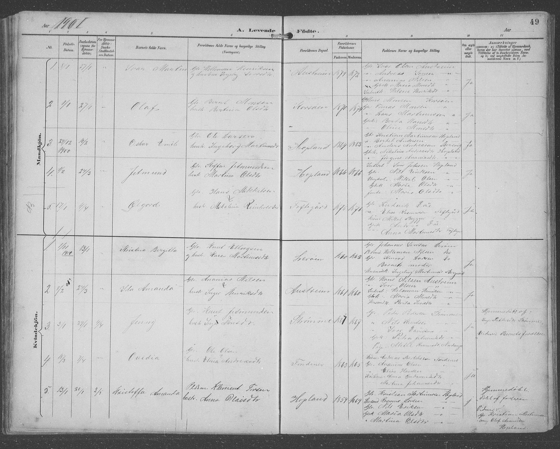 Lindås Sokneprestembete, SAB/A-76701/H/Hab: Parish register (copy) no. C 4, 1894-1910, p. 49