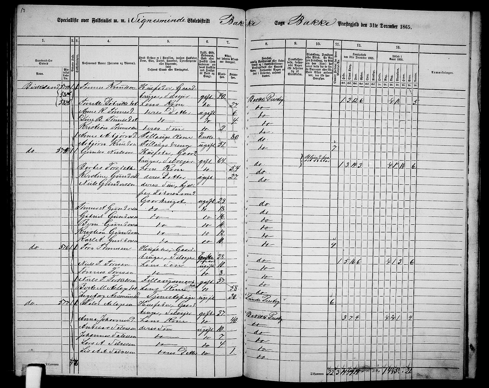 RA, 1865 census for Bakke, 1865, p. 107