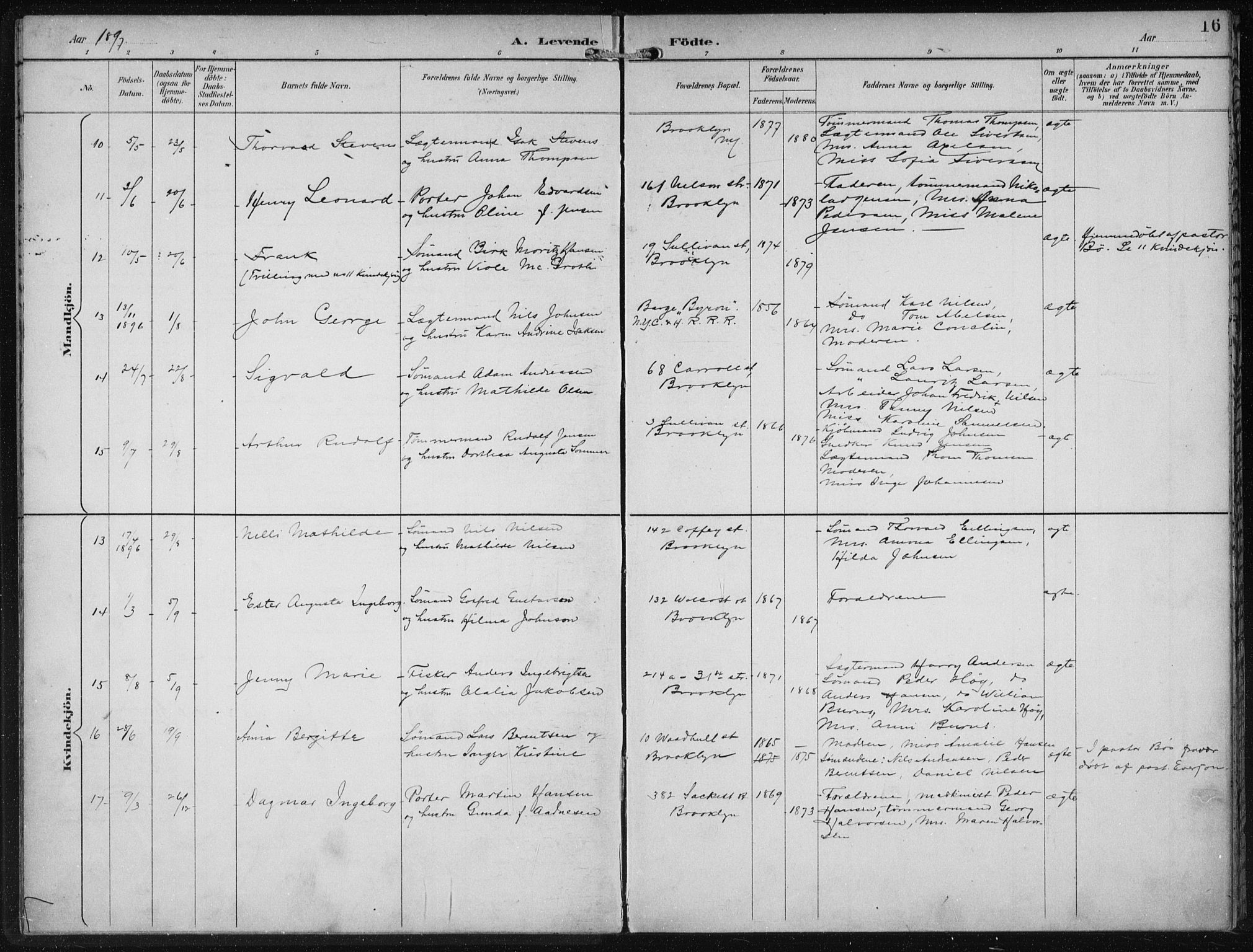 Den norske sjømannsmisjon i utlandet/New York, AV/SAB-SAB/PA-0110/H/Ha/L0004: Parish register (official) no. A 4, 1893-1901, p. 16