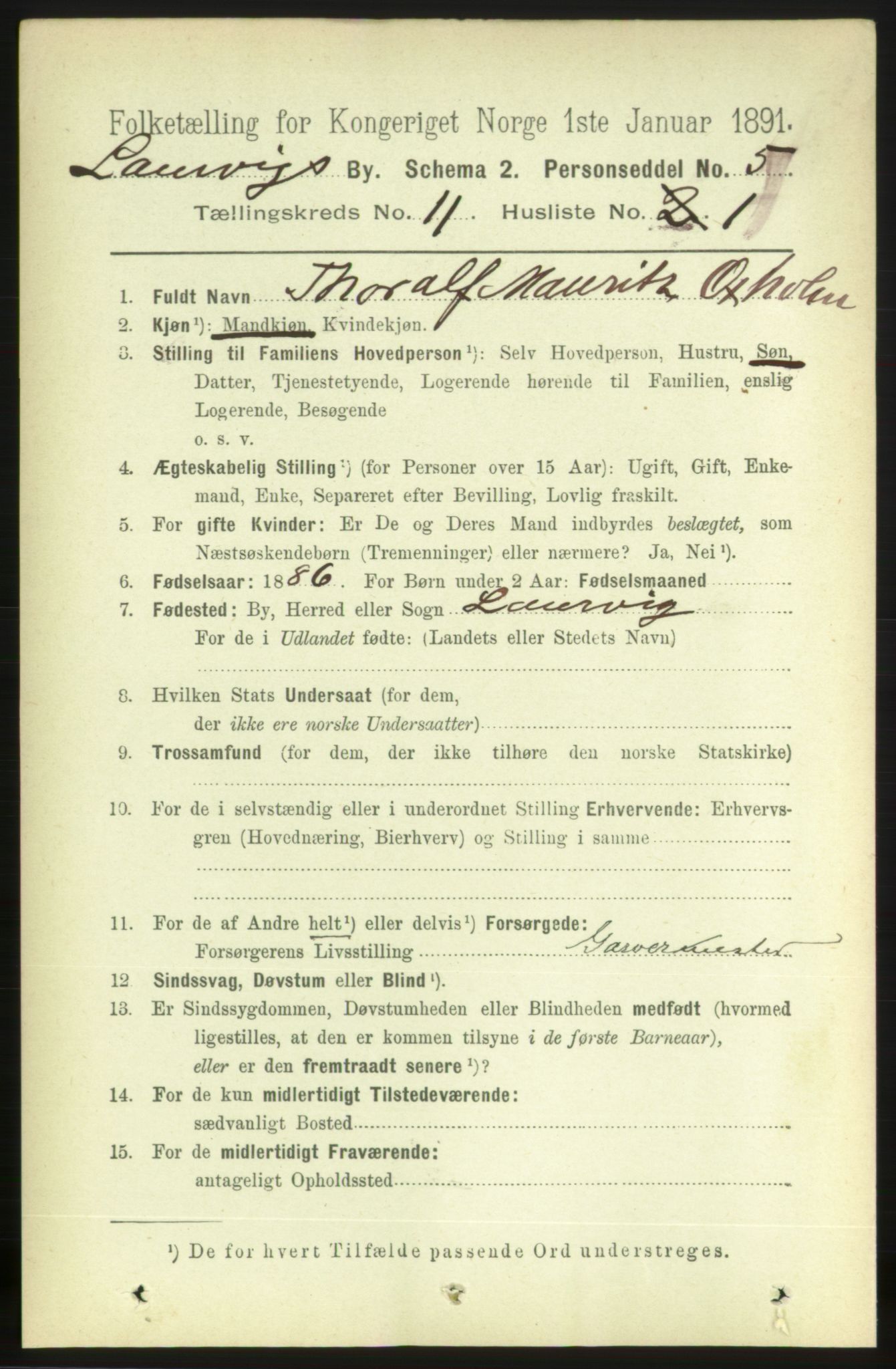 RA, 1891 census for 0707 Larvik, 1891, p. 9615