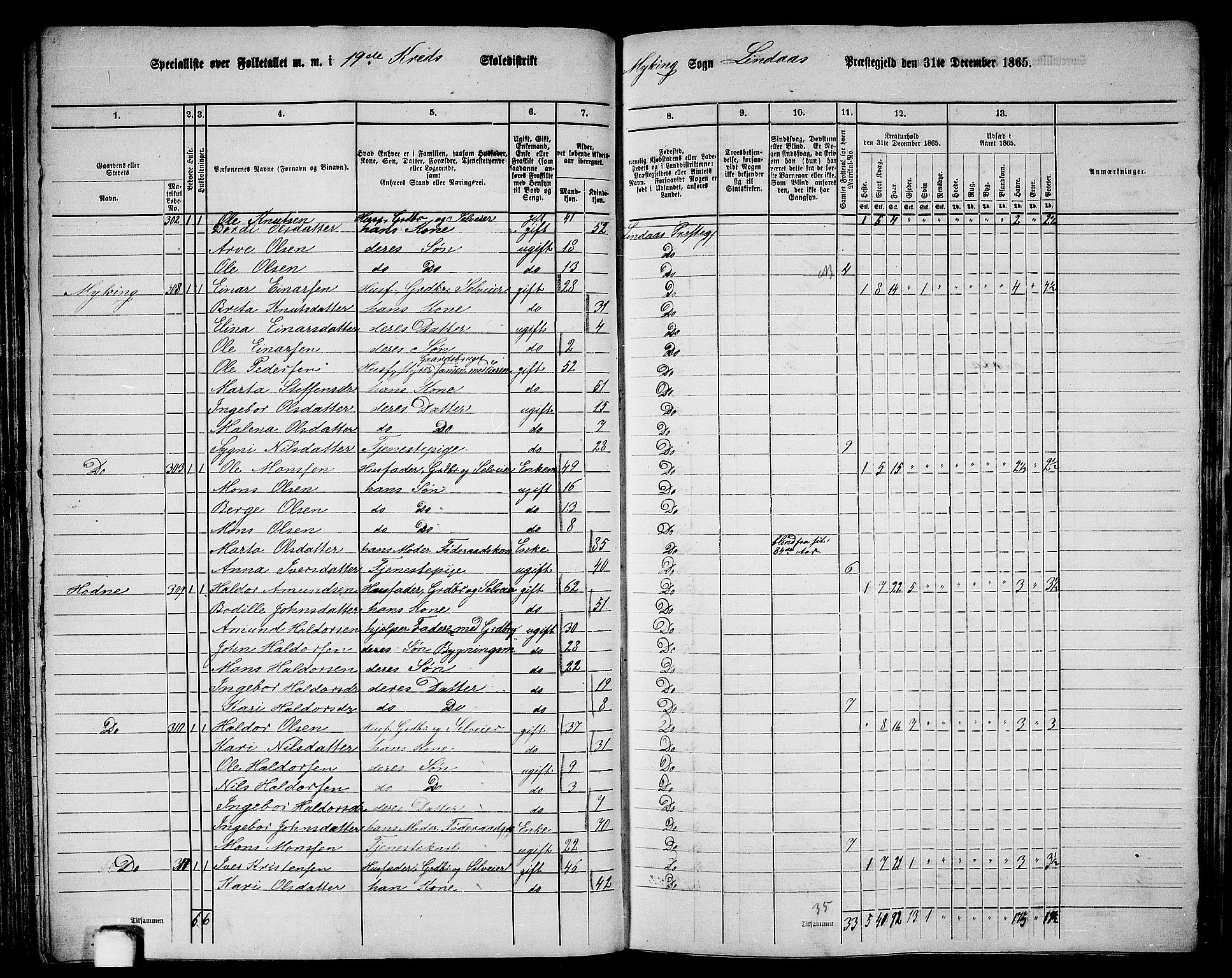 RA, 1865 census for Lindås, 1865, p. 133