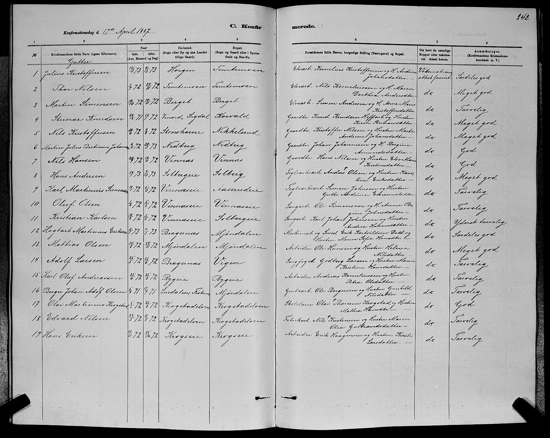 Nedre Eiker kirkebøker, AV/SAKO-A-612/G/Ga/L0002: Parish register (copy) no. 2, 1880-1896, p. 242