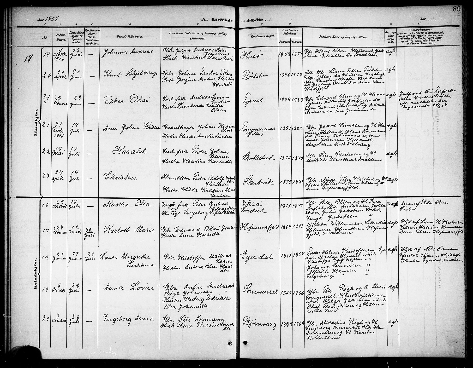 Ministerialprotokoller, klokkerbøker og fødselsregistre - Nordland, SAT/A-1459/859/L0860: Parish register (copy) no. 859C06, 1899-1909, p. 89