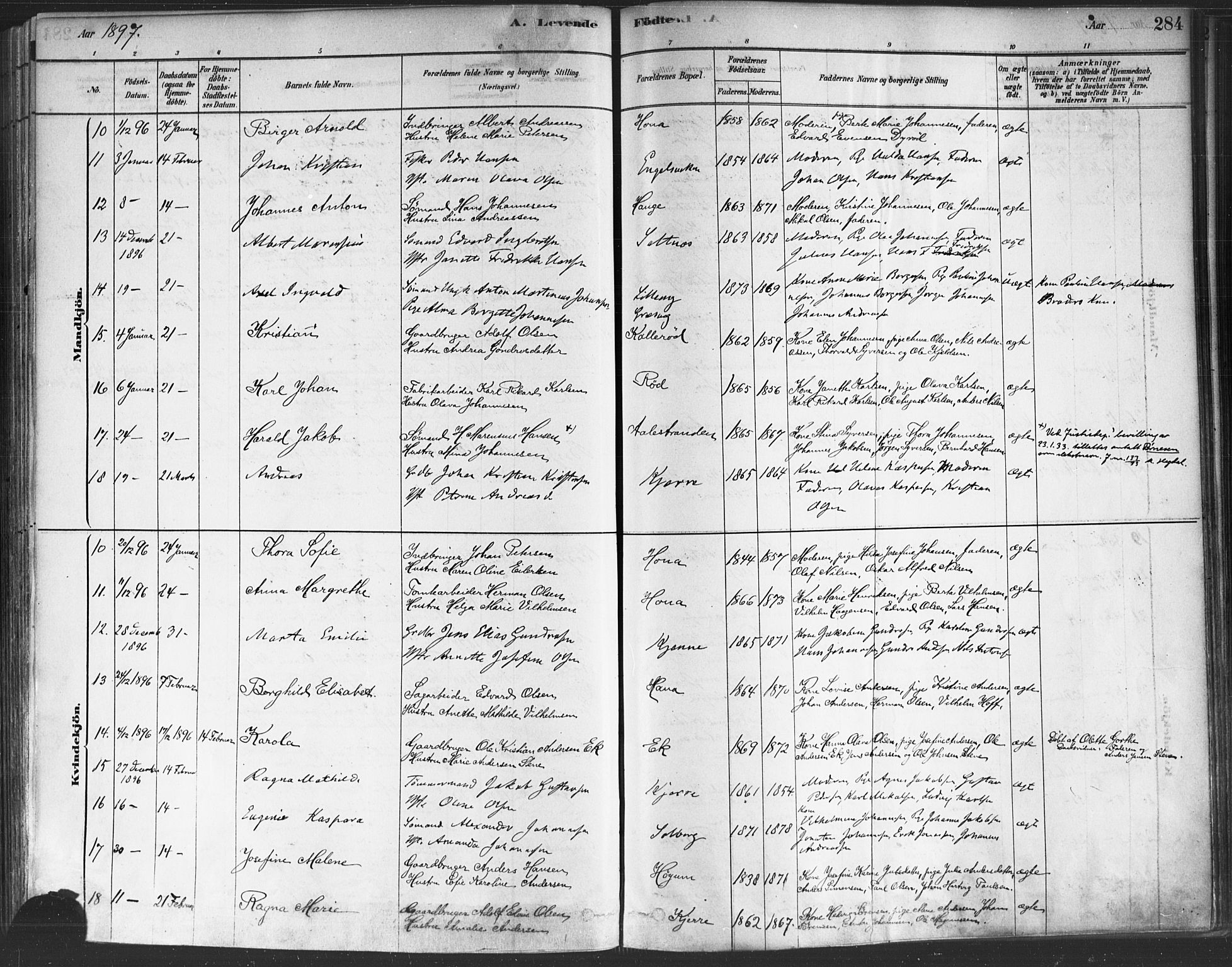 Onsøy prestekontor Kirkebøker, SAO/A-10914/F/Fa/L0005: Parish register (official) no. I 5, 1878-1898, p. 284