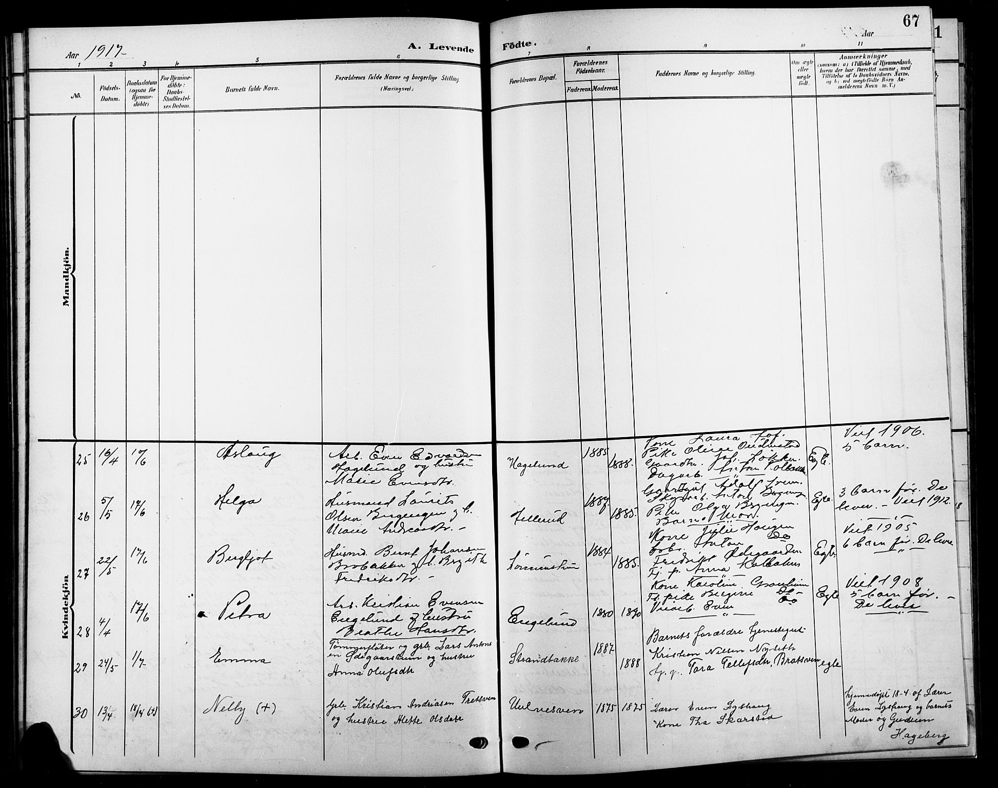 Biri prestekontor, SAH/PREST-096/H/Ha/Hab/L0005: Parish register (copy) no. 5, 1906-1919, p. 67