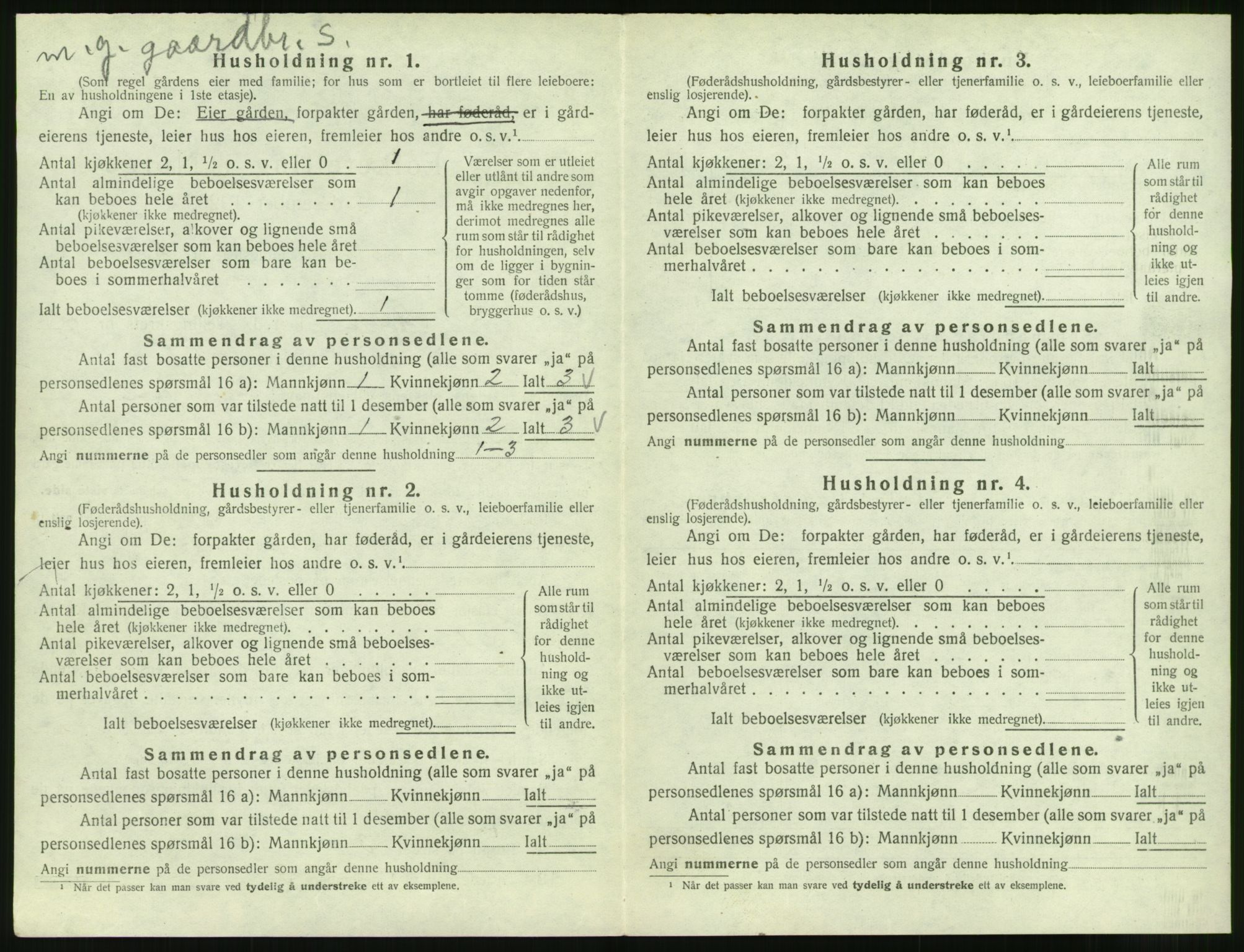 SAT, 1920 census for Skodje, 1920, p. 258