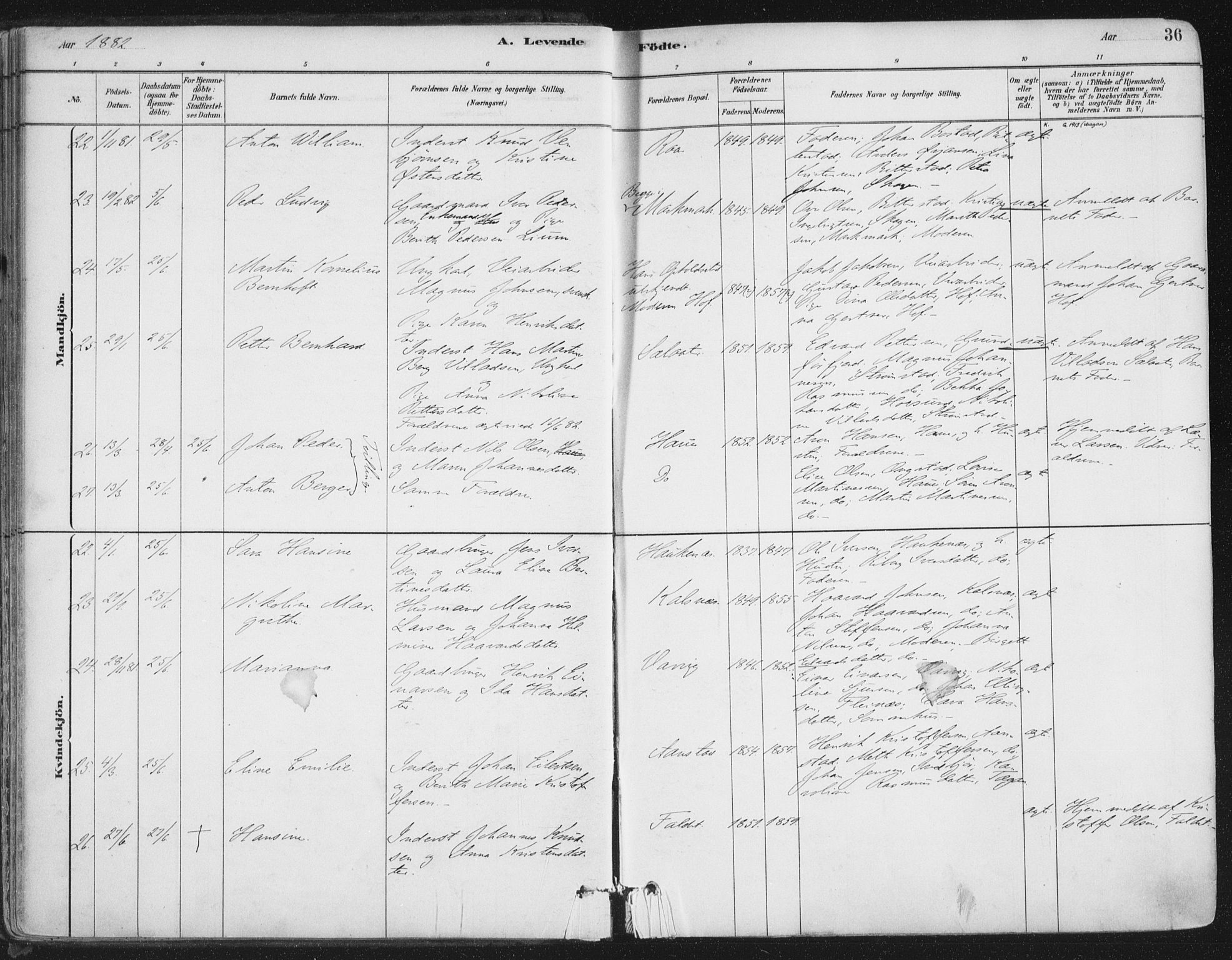 Ministerialprotokoller, klokkerbøker og fødselsregistre - Nordland, AV/SAT-A-1459/888/L1244: Parish register (official) no. 888A10, 1880-1890, p. 36