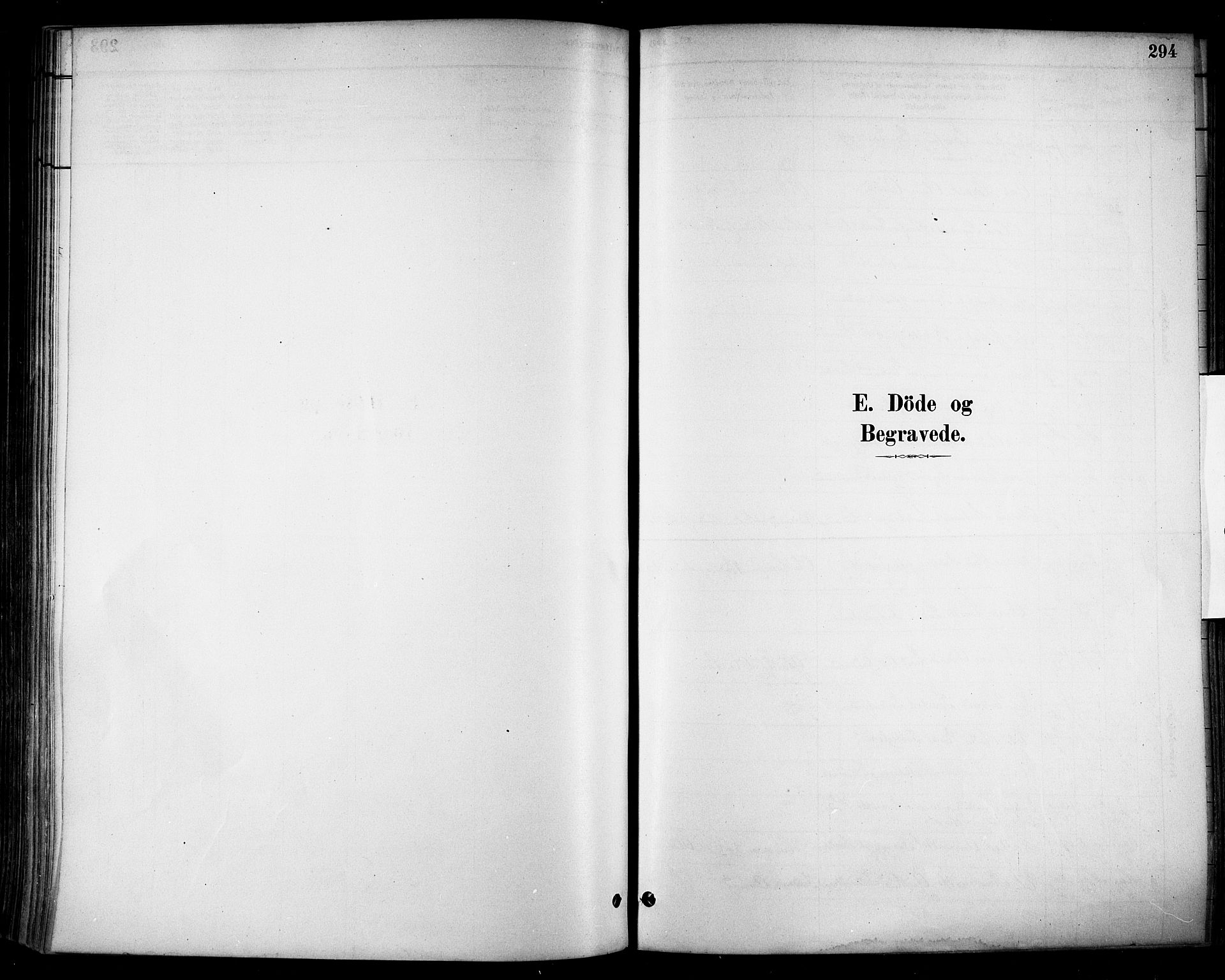 Stange prestekontor, SAH/PREST-002/K/L0017: Parish register (official) no. 17, 1880-1893, p. 294