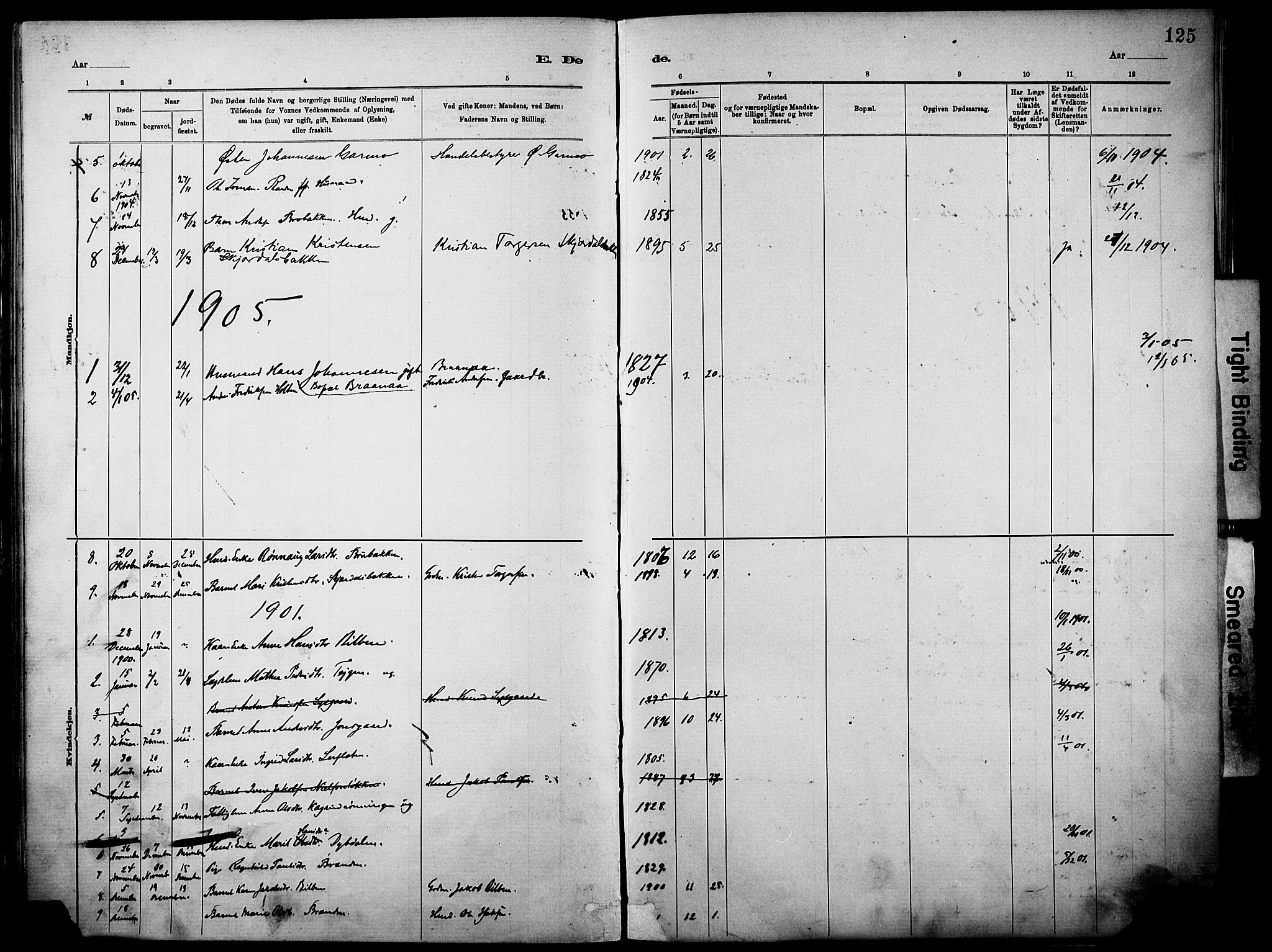 Vågå prestekontor, SAH/PREST-076/H/Ha/Haa/L0010: Parish register (official) no. 10, 1887-1904, p. 125a