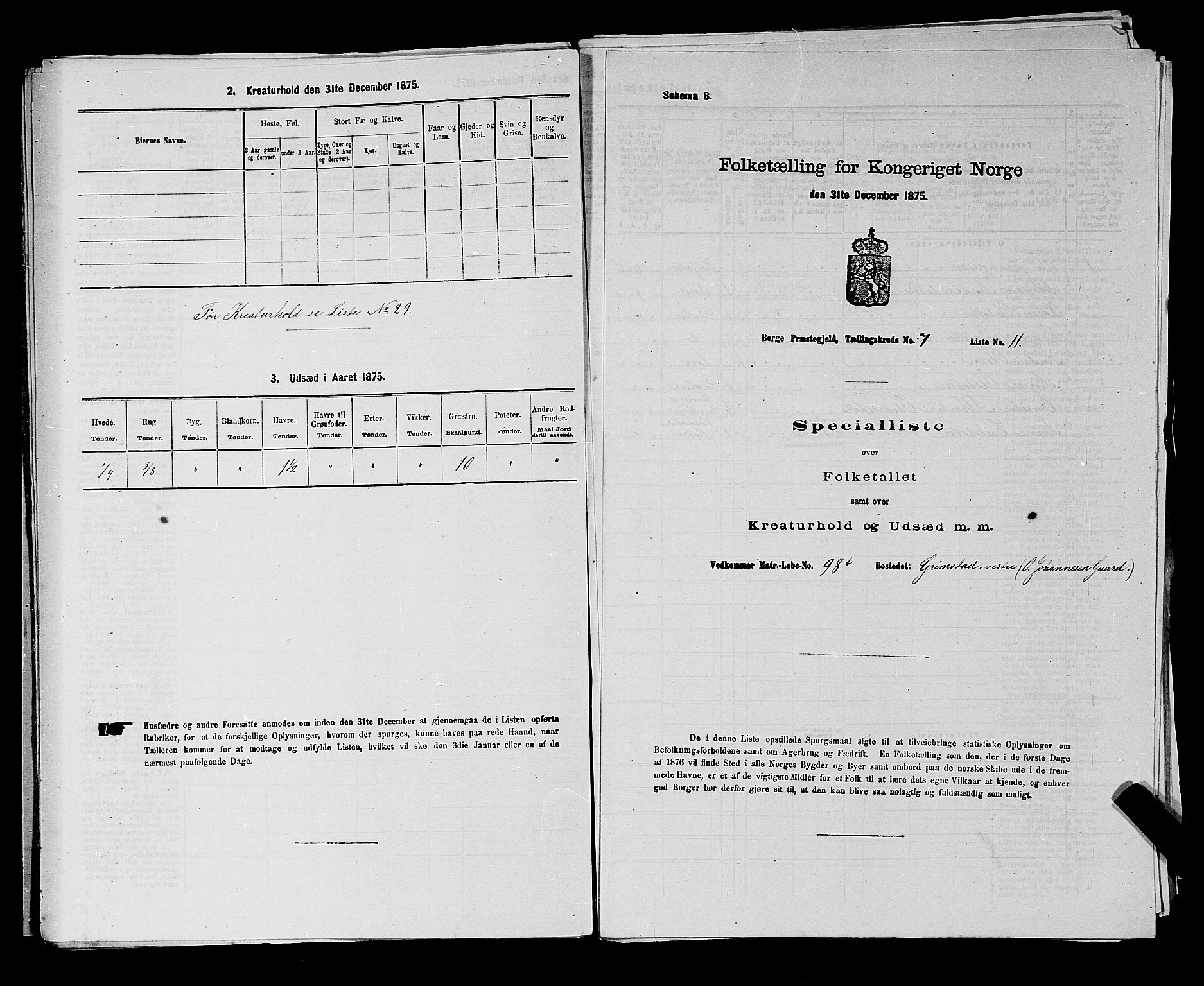 RA, 1875 census for 0113P Borge, 1875, p. 985