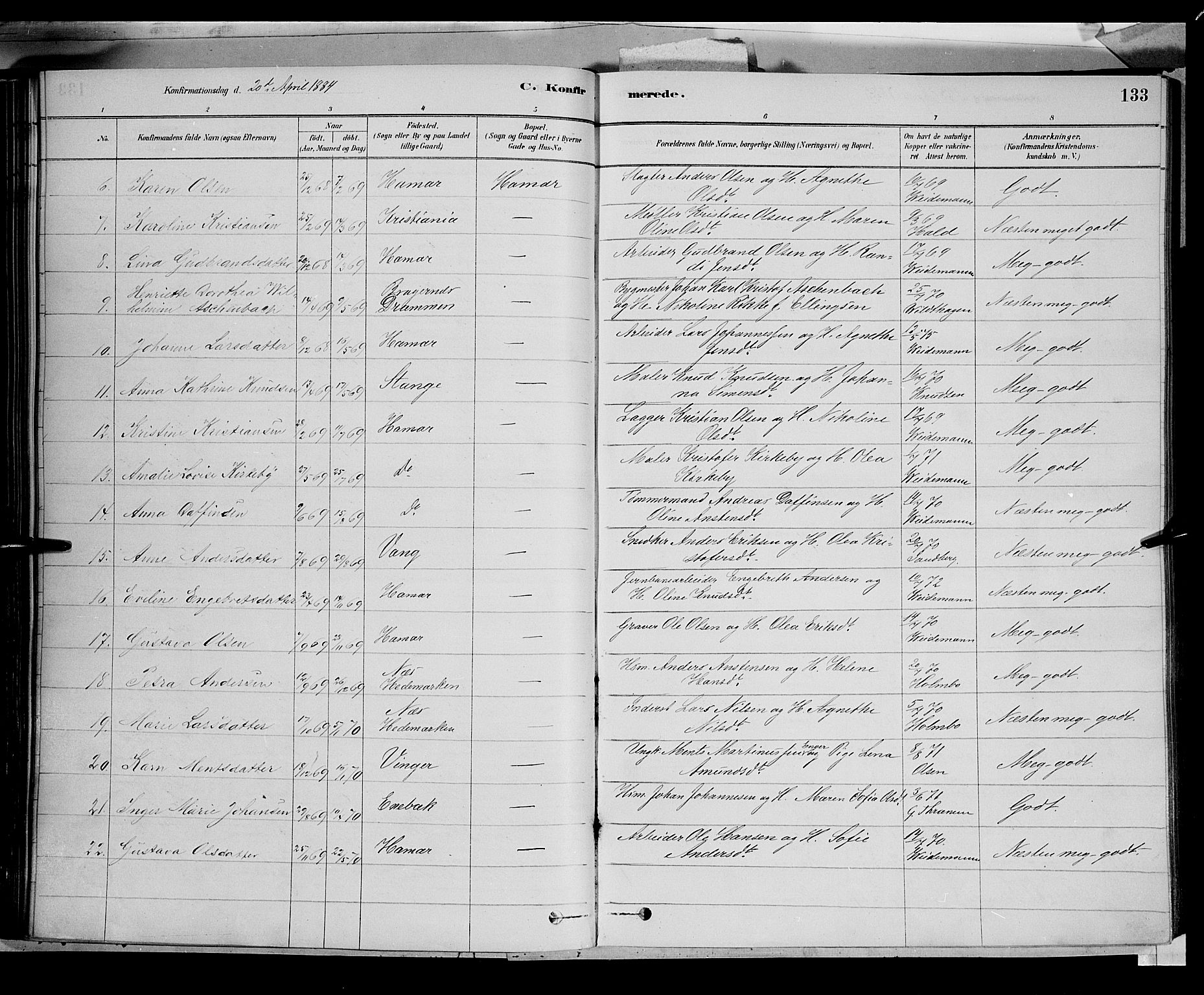 Vang prestekontor, Hedmark, AV/SAH-PREST-008/H/Ha/Haa/L0016: Parish register (official) no. 16, 1878-1889, p. 133