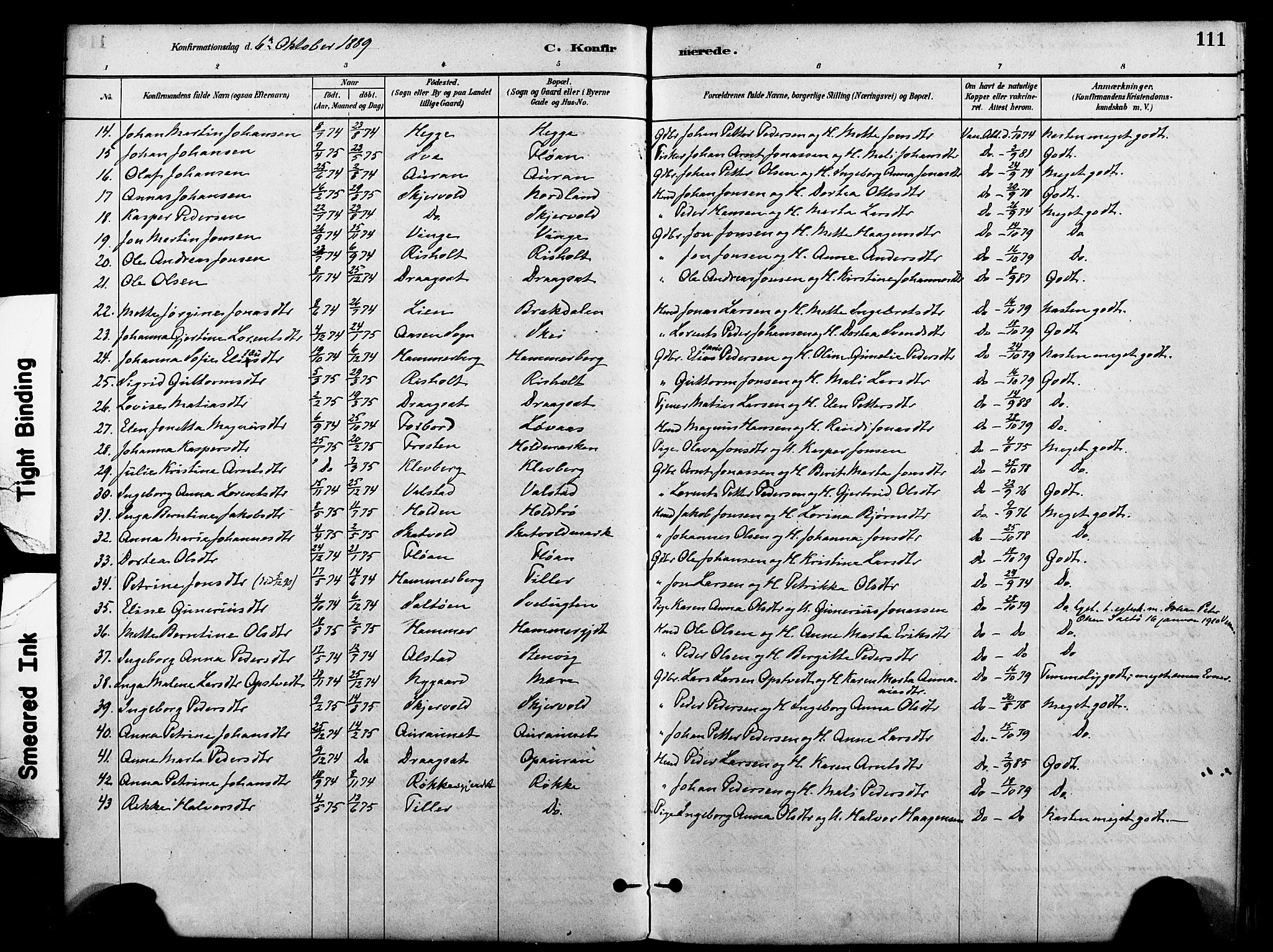 Ministerialprotokoller, klokkerbøker og fødselsregistre - Nord-Trøndelag, SAT/A-1458/712/L0100: Parish register (official) no. 712A01, 1880-1900, p. 111