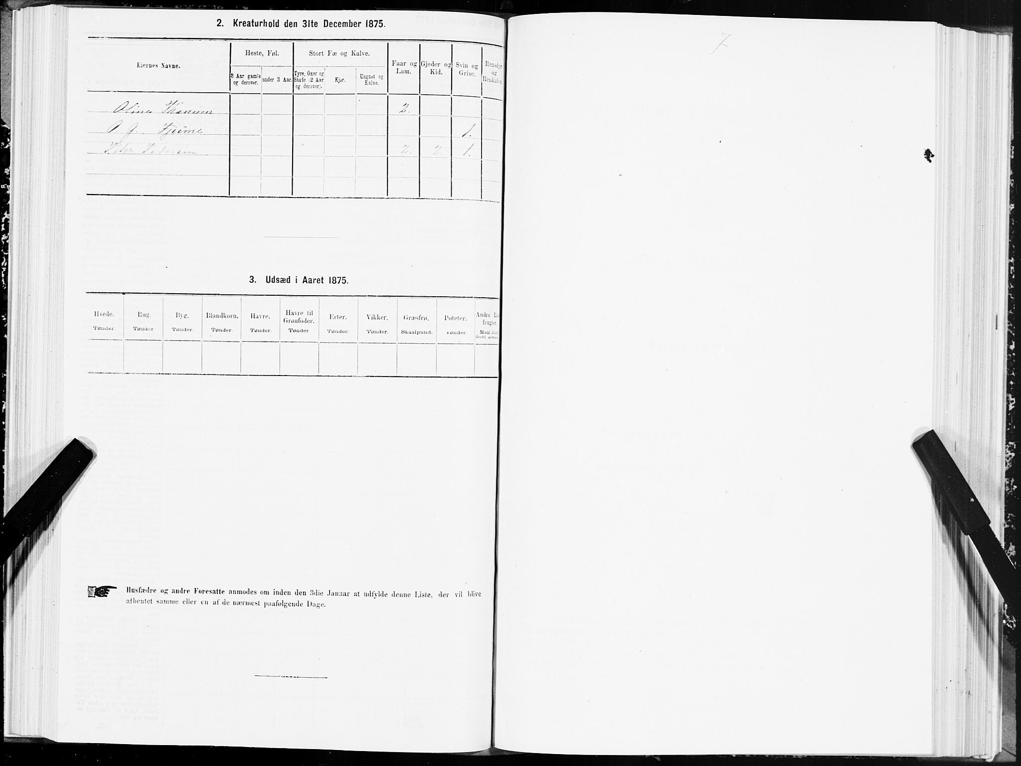 SAT, 1875 census for 1702B Steinkjer/Steinkjer, 1875