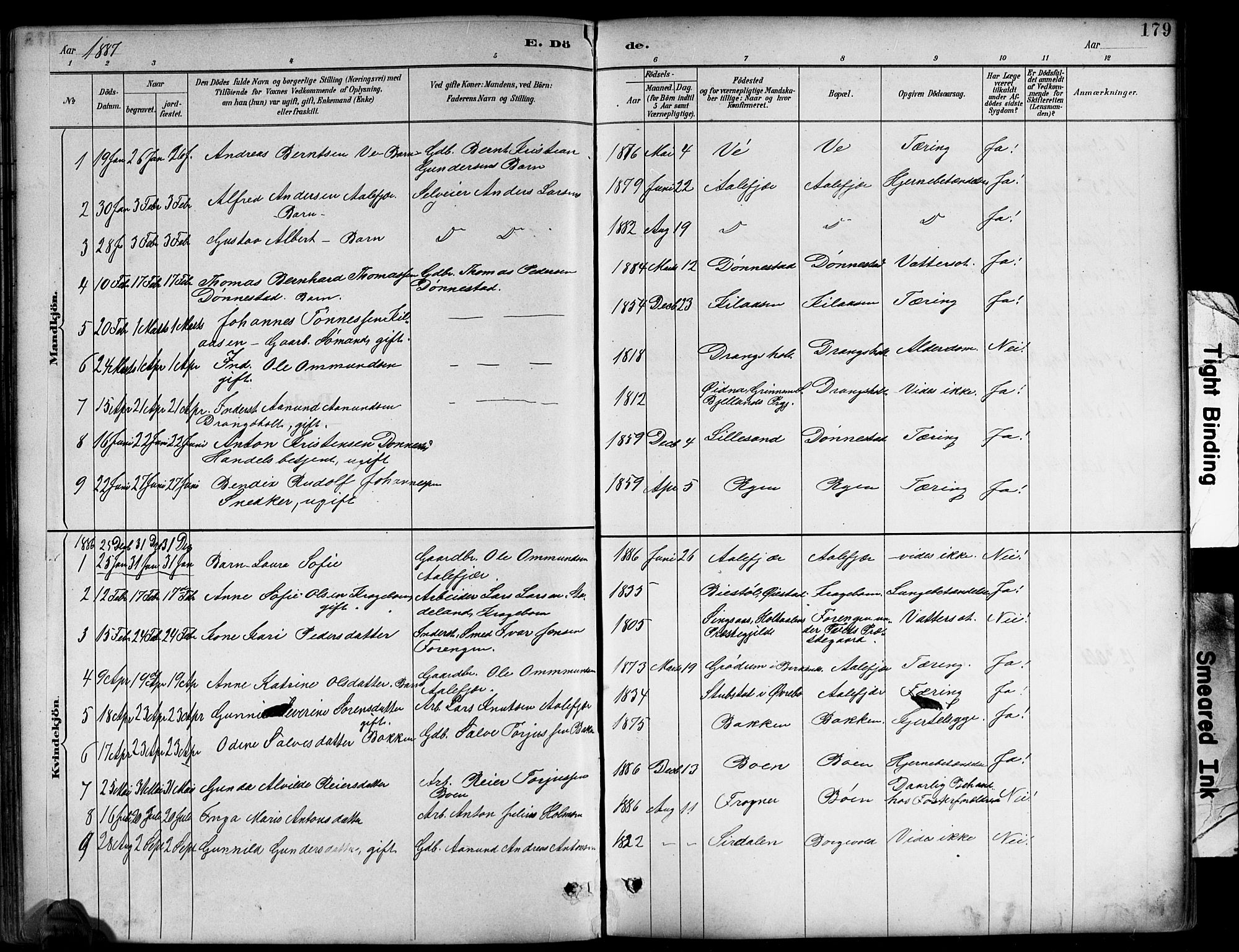 Tveit sokneprestkontor, AV/SAK-1111-0043/F/Fb/L0004: Parish register (copy) no. B 4, 1887-1914, p. 179