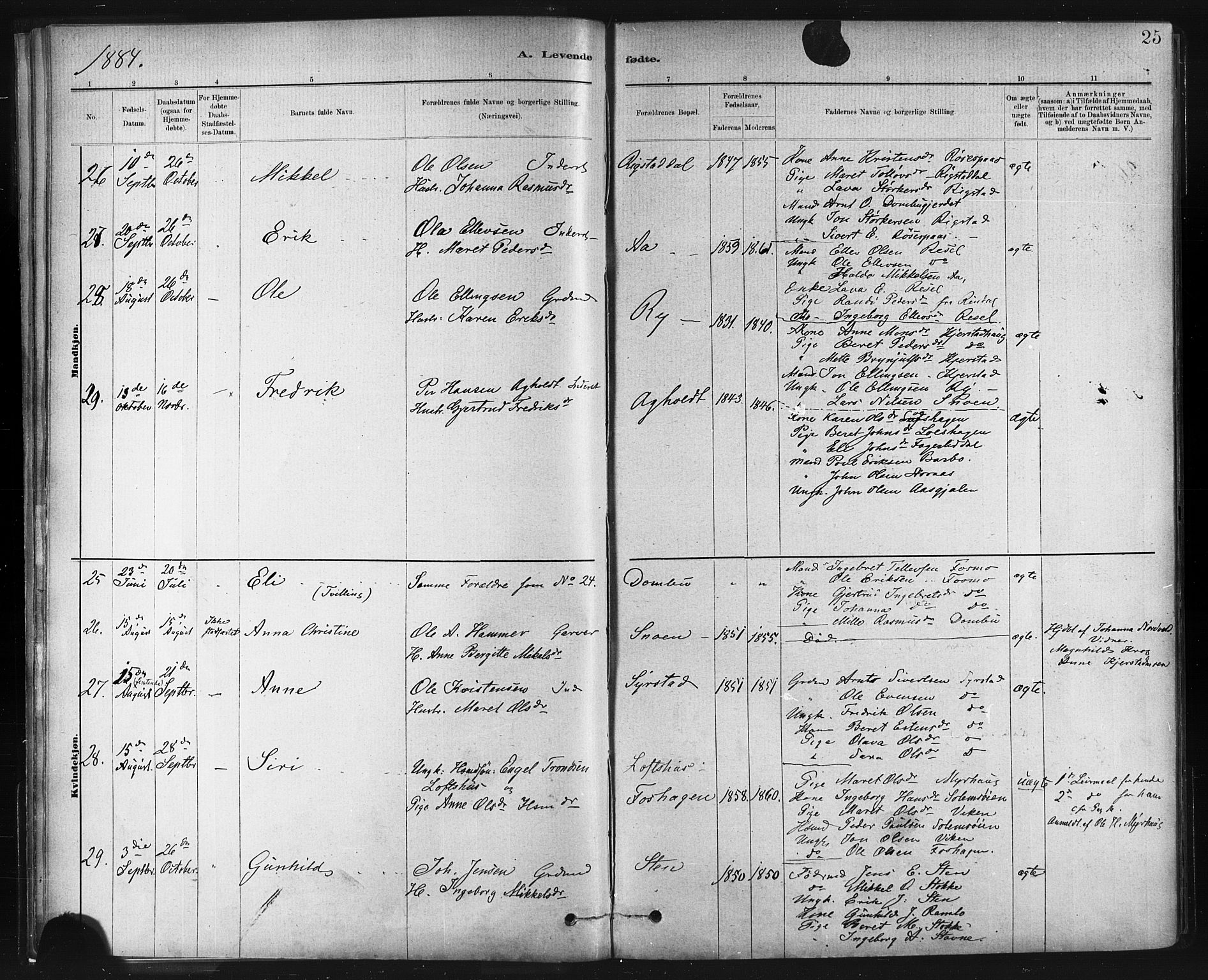 Ministerialprotokoller, klokkerbøker og fødselsregistre - Sør-Trøndelag, SAT/A-1456/672/L0857: Parish register (official) no. 672A09, 1882-1893, p. 25