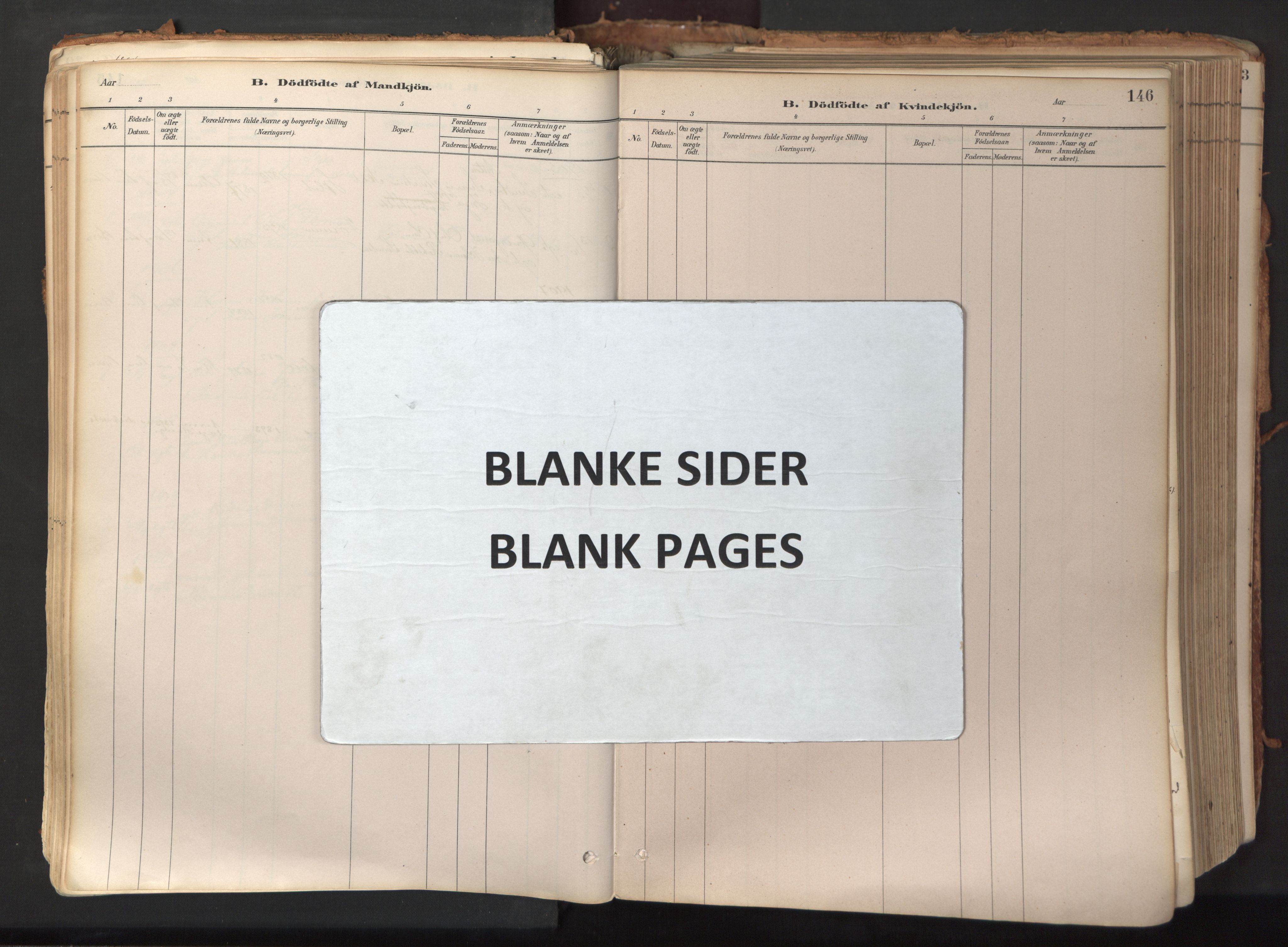 Ministerialprotokoller, klokkerbøker og fødselsregistre - Nord-Trøndelag, AV/SAT-A-1458/758/L0519: Parish register (official) no. 758A04, 1880-1926, p. 146