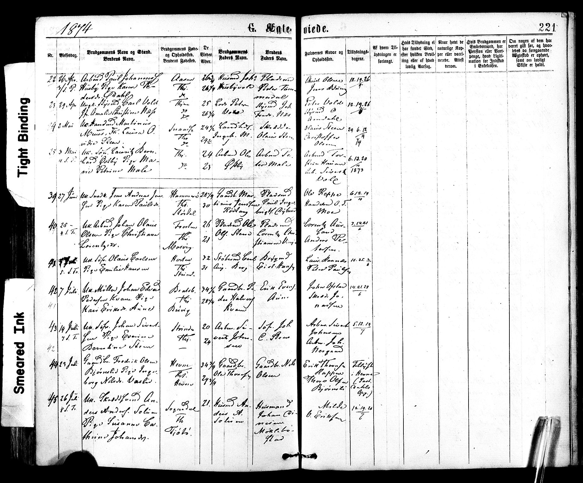 Ministerialprotokoller, klokkerbøker og fødselsregistre - Sør-Trøndelag, SAT/A-1456/602/L0118: Parish register (official) no. 602A16, 1873-1879, p. 221