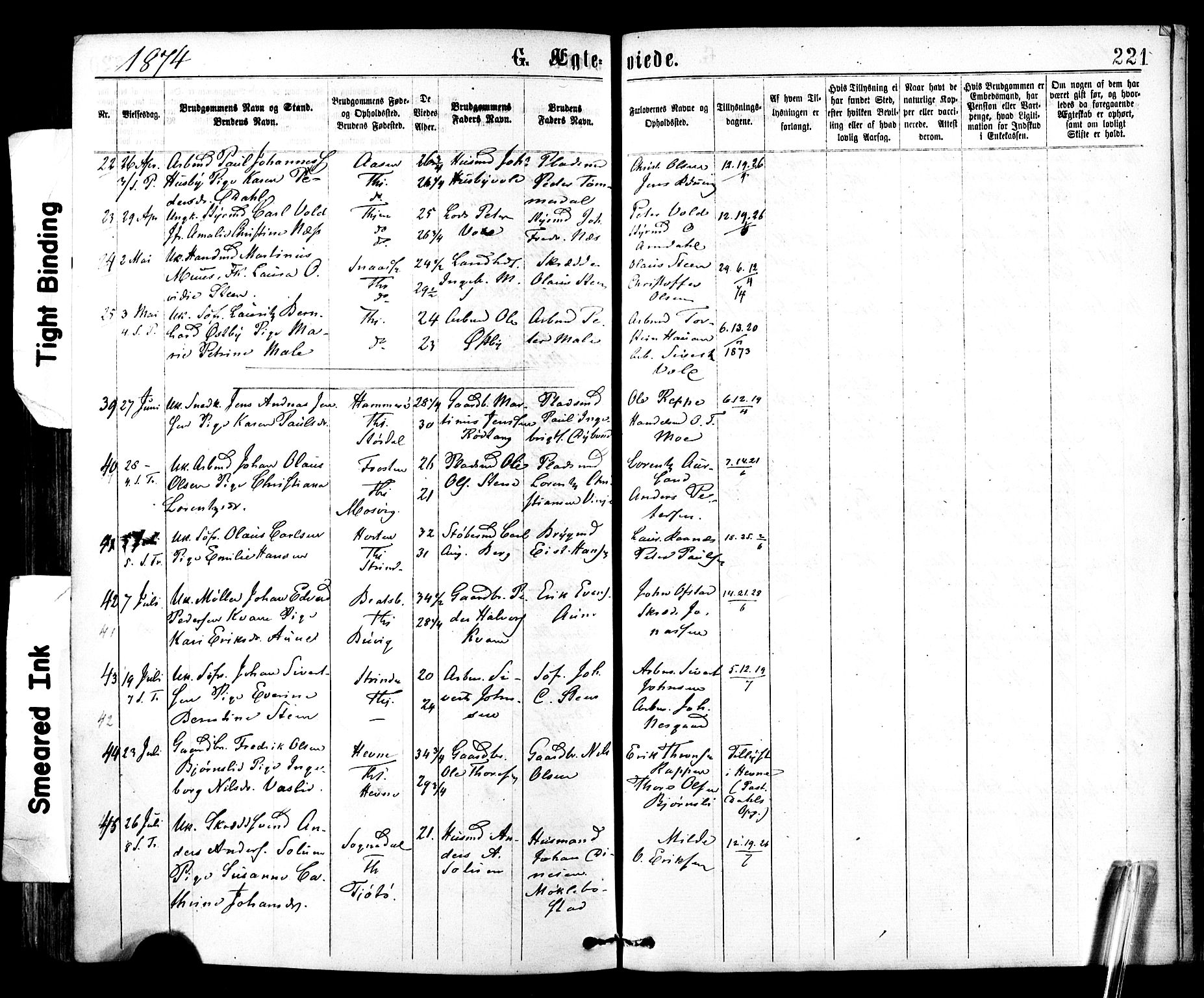 Ministerialprotokoller, klokkerbøker og fødselsregistre - Sør-Trøndelag, AV/SAT-A-1456/602/L0118: Parish register (official) no. 602A16, 1873-1879, p. 221