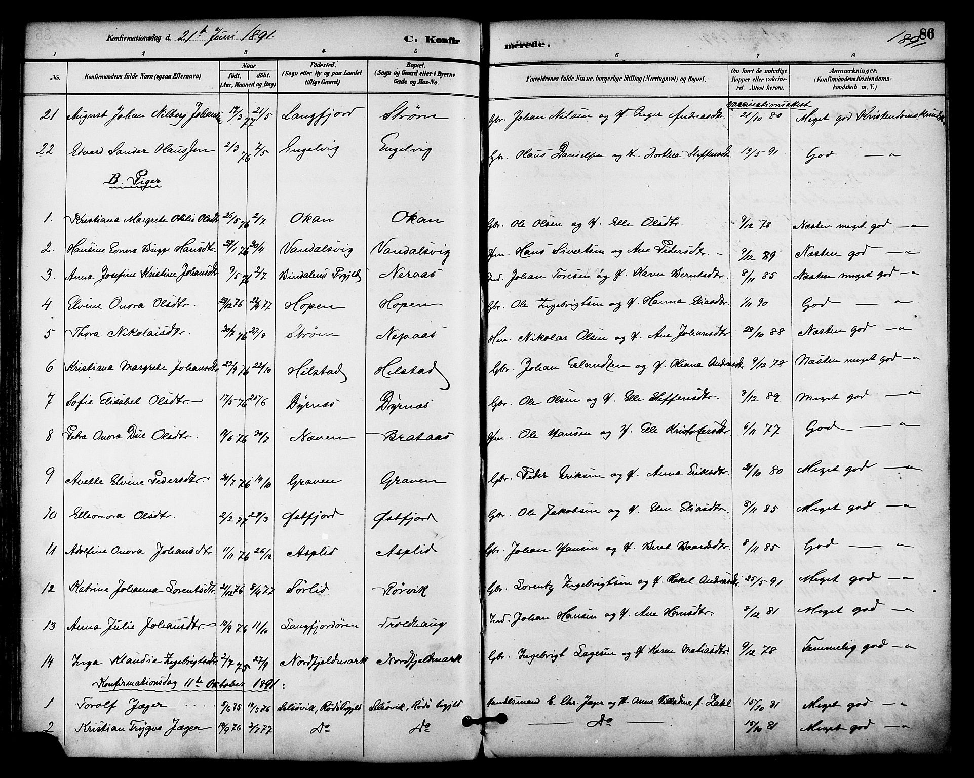 Ministerialprotokoller, klokkerbøker og fødselsregistre - Nordland, AV/SAT-A-1459/814/L0226: Parish register (official) no. 814A07, 1886-1898, p. 86