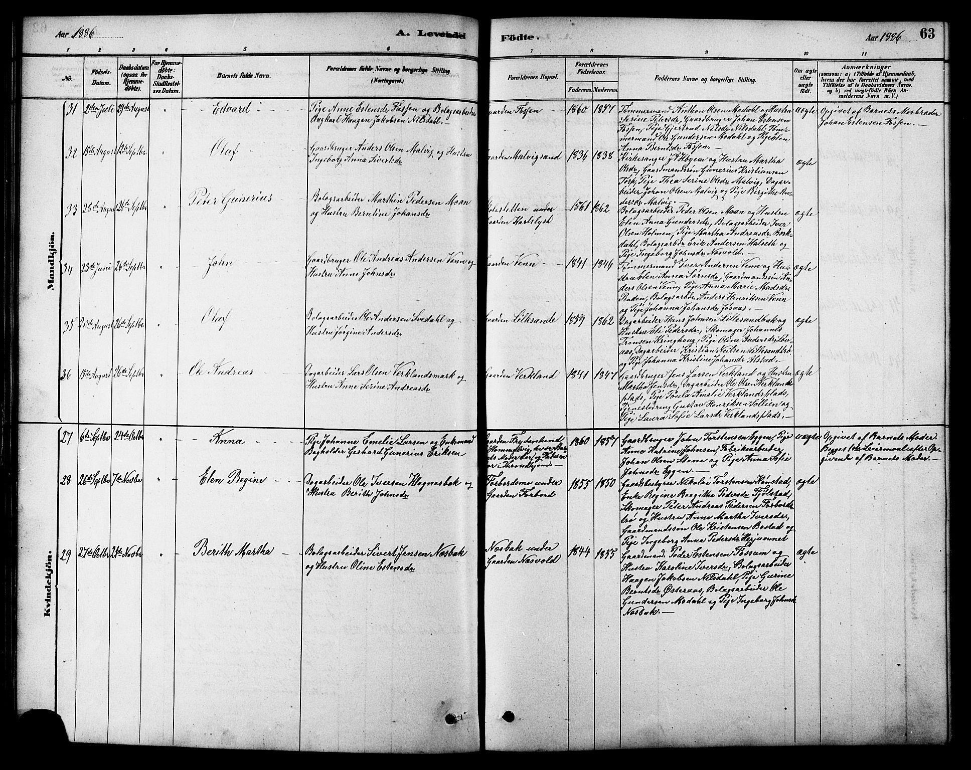 Ministerialprotokoller, klokkerbøker og fødselsregistre - Sør-Trøndelag, SAT/A-1456/616/L0423: Parish register (copy) no. 616C06, 1878-1903, p. 63
