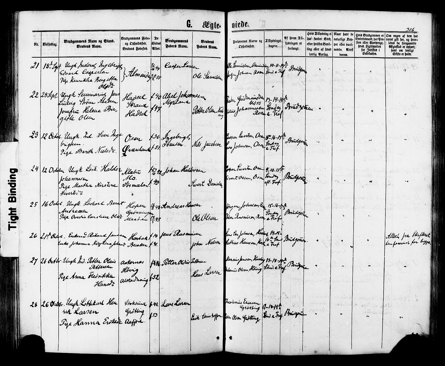 Ministerialprotokoller, klokkerbøker og fødselsregistre - Sør-Trøndelag, SAT/A-1456/657/L0706: Parish register (official) no. 657A07, 1867-1878, p. 306