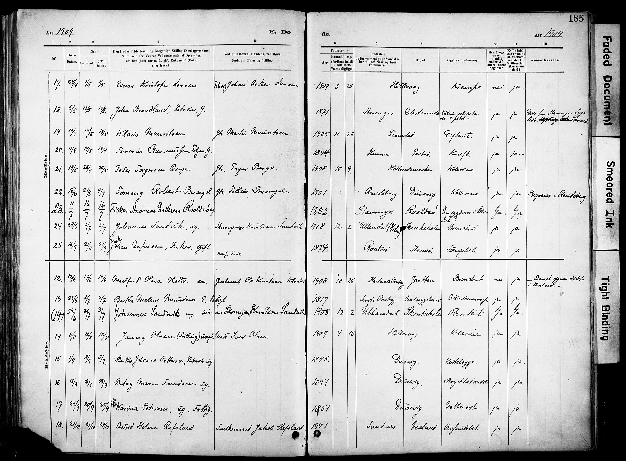 Hetland sokneprestkontor, SAST/A-101826/30/30BA/L0012: Parish register (official) no. A 12, 1882-1912, p. 185