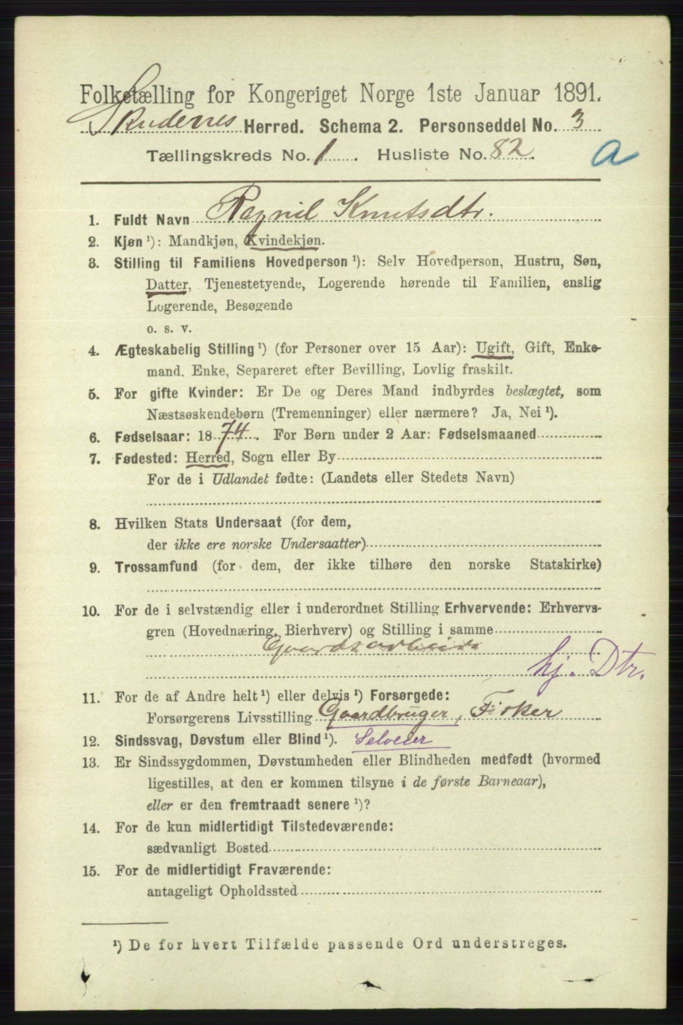 RA, 1891 census for 1150 Skudenes, 1891, p. 552