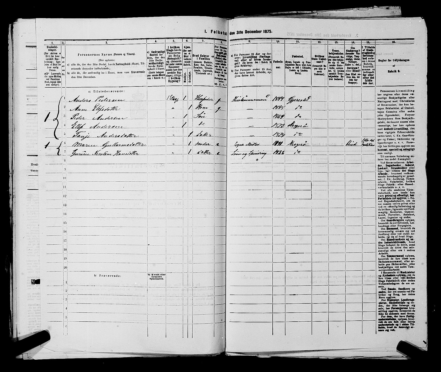 SAKO, 1875 census for 0801P Kragerø, 1875, p. 1194