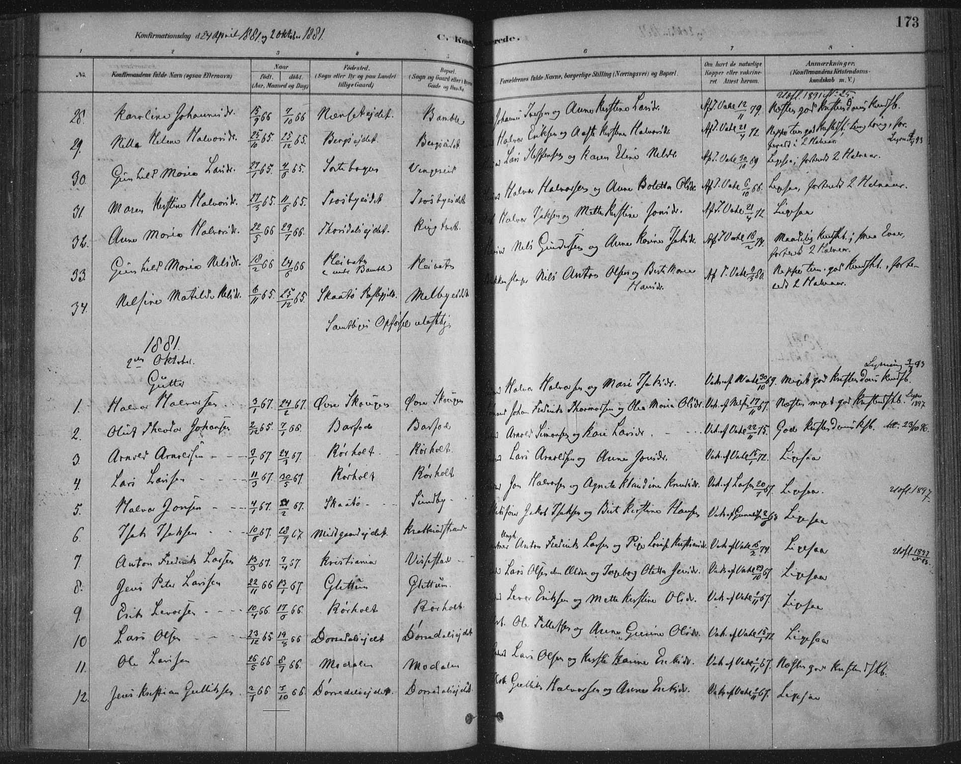 Bamble kirkebøker, AV/SAKO-A-253/F/Fa/L0007: Parish register (official) no. I 7, 1878-1888, p. 173