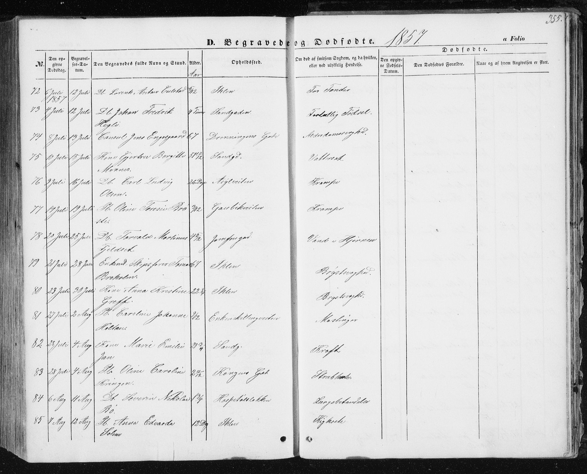 Ministerialprotokoller, klokkerbøker og fødselsregistre - Sør-Trøndelag, AV/SAT-A-1456/602/L0112: Parish register (official) no. 602A10, 1848-1859, p. 355