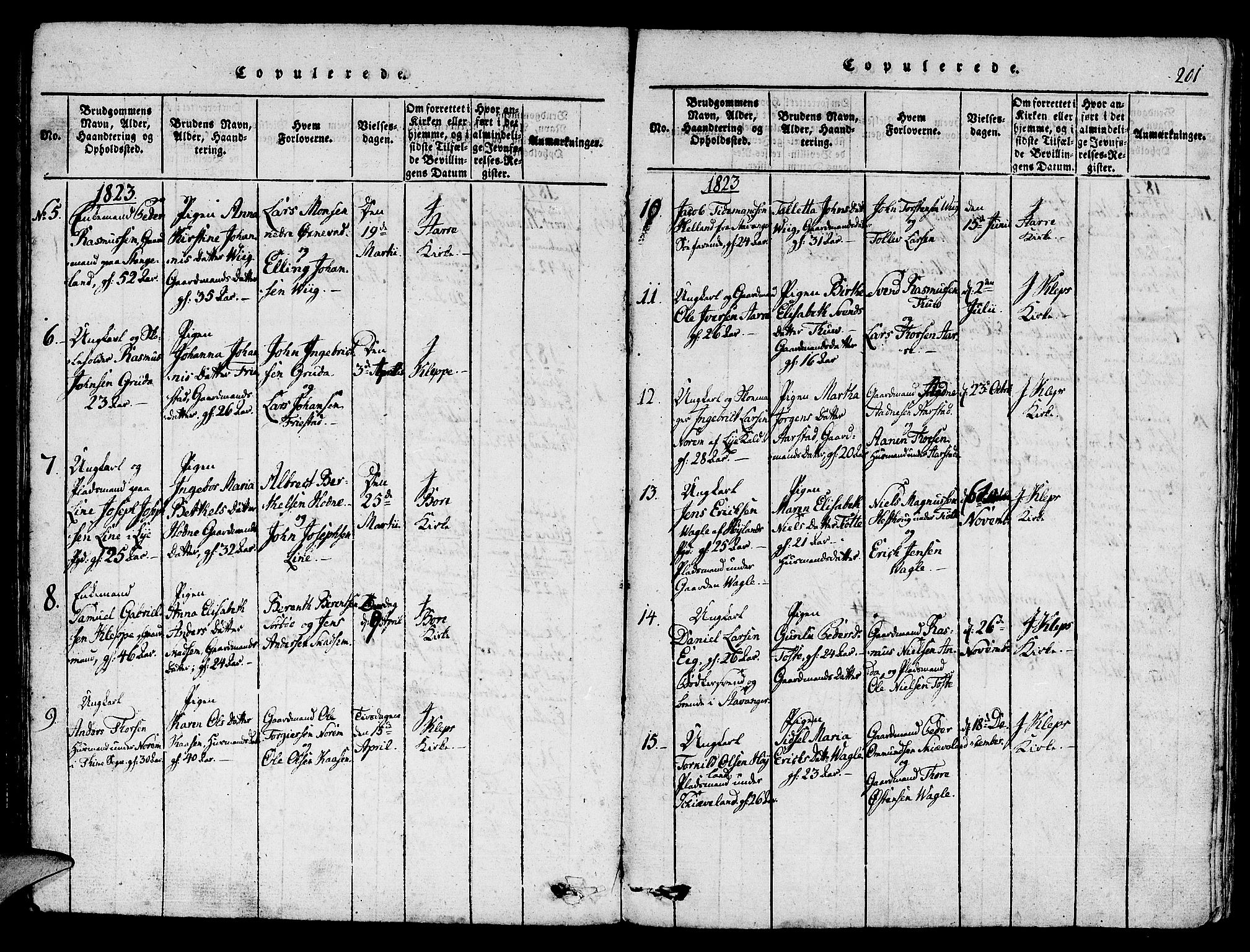 Klepp sokneprestkontor, SAST/A-101803/001/3/30BA/L0002: Parish register (official) no. A 2, 1816-1833, p. 201