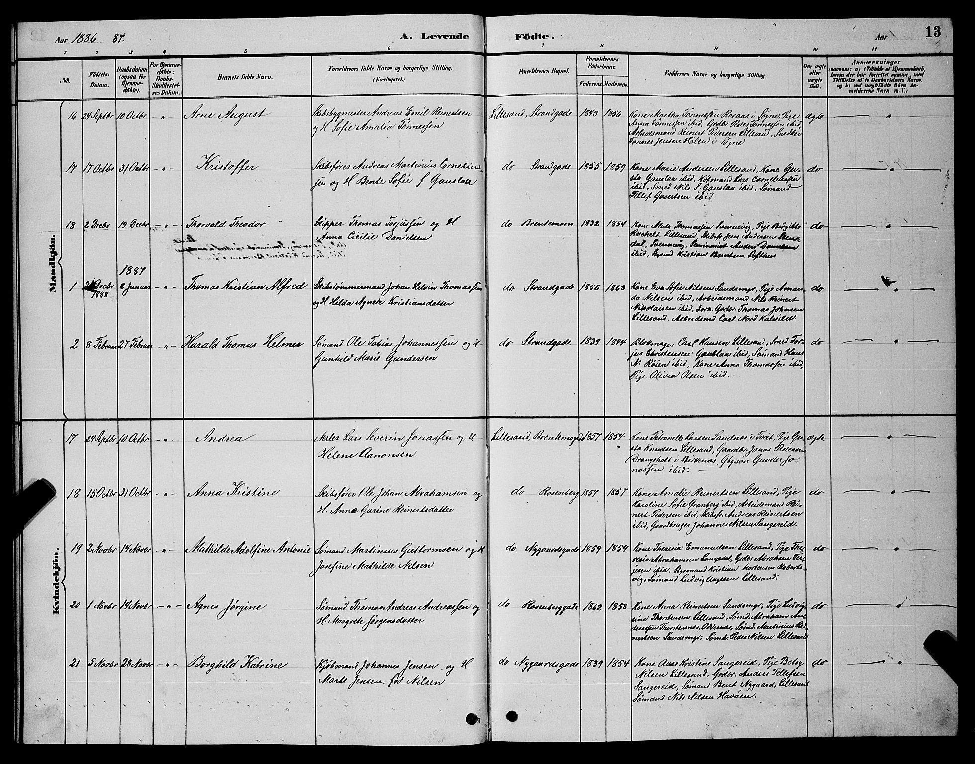Vestre Moland sokneprestkontor, SAK/1111-0046/F/Fb/Fba/L0001: Parish register (copy) no. B 1, 1884-1903, p. 13