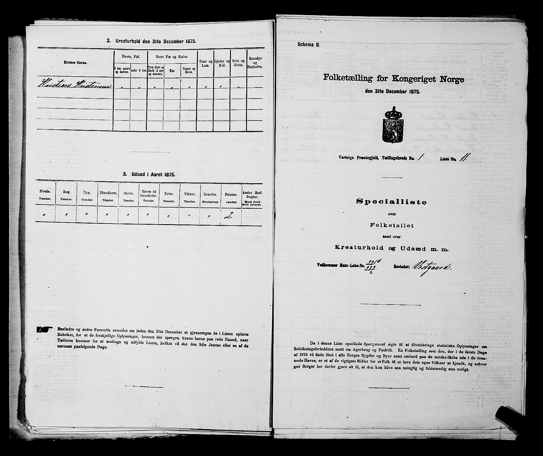 RA, 1875 census for 0114P Varteig, 1875, p. 38