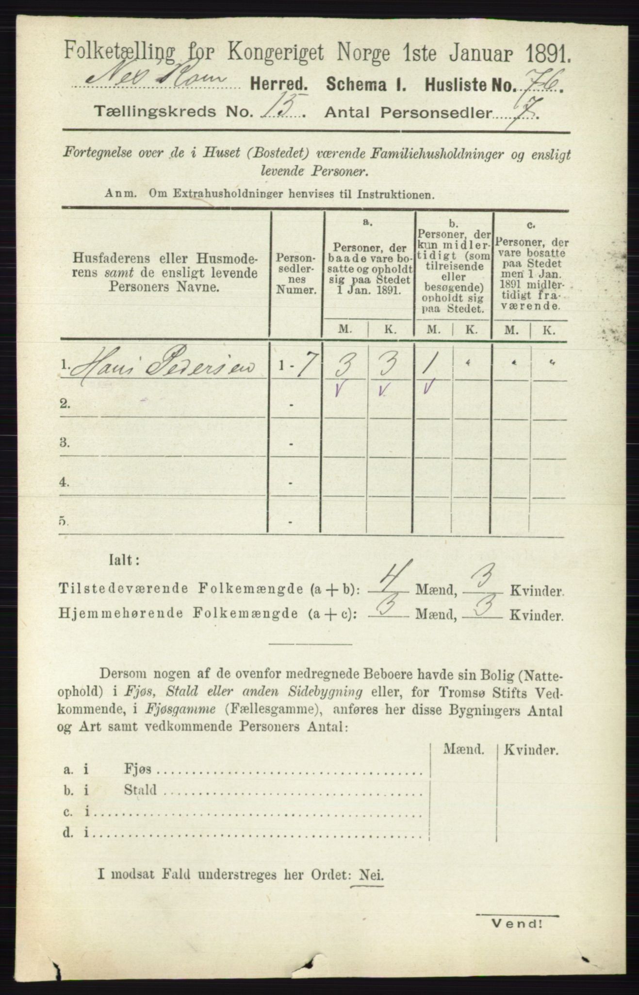 RA, 1891 census for 0236 Nes, 1891, p. 8997