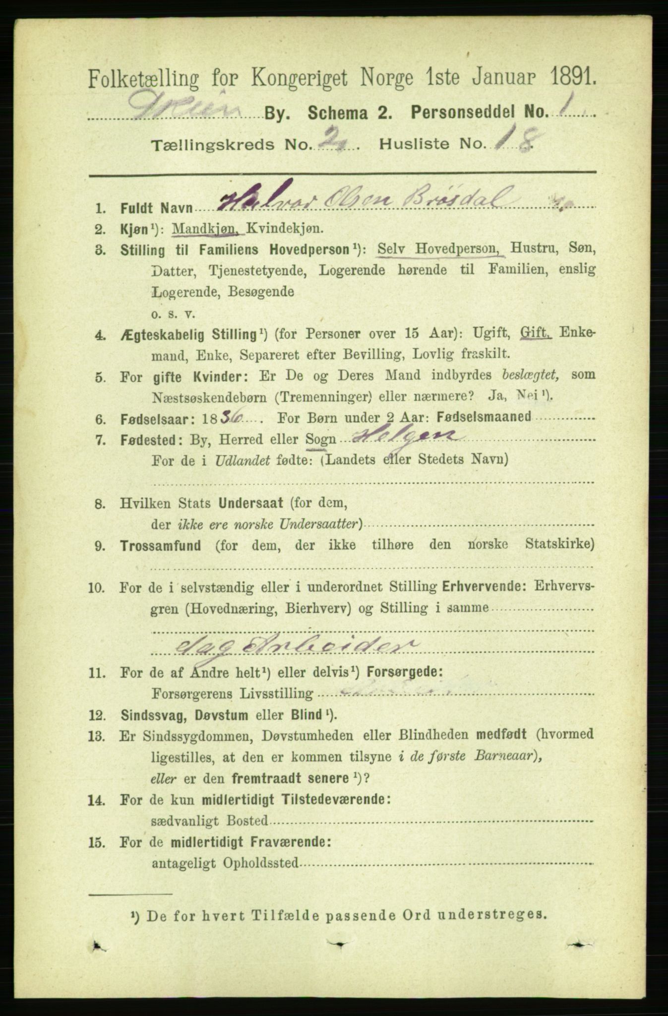 RA, 1891 census for 0806 Skien, 1891, p. 5311