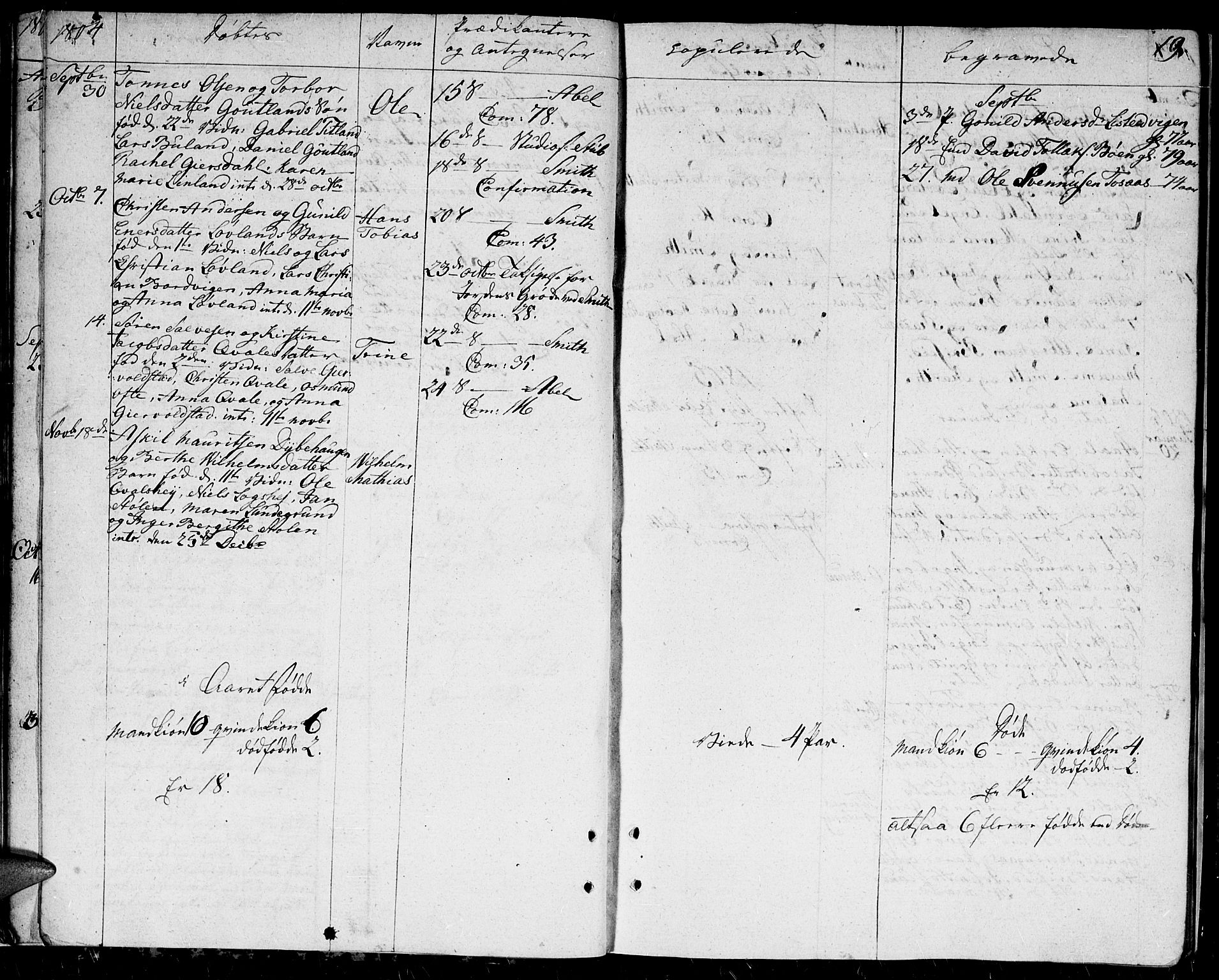 Herad sokneprestkontor, AV/SAK-1111-0018/F/Fa/Faa/L0002: Parish register (official) no. A 2, 1800-1815, p. 19
