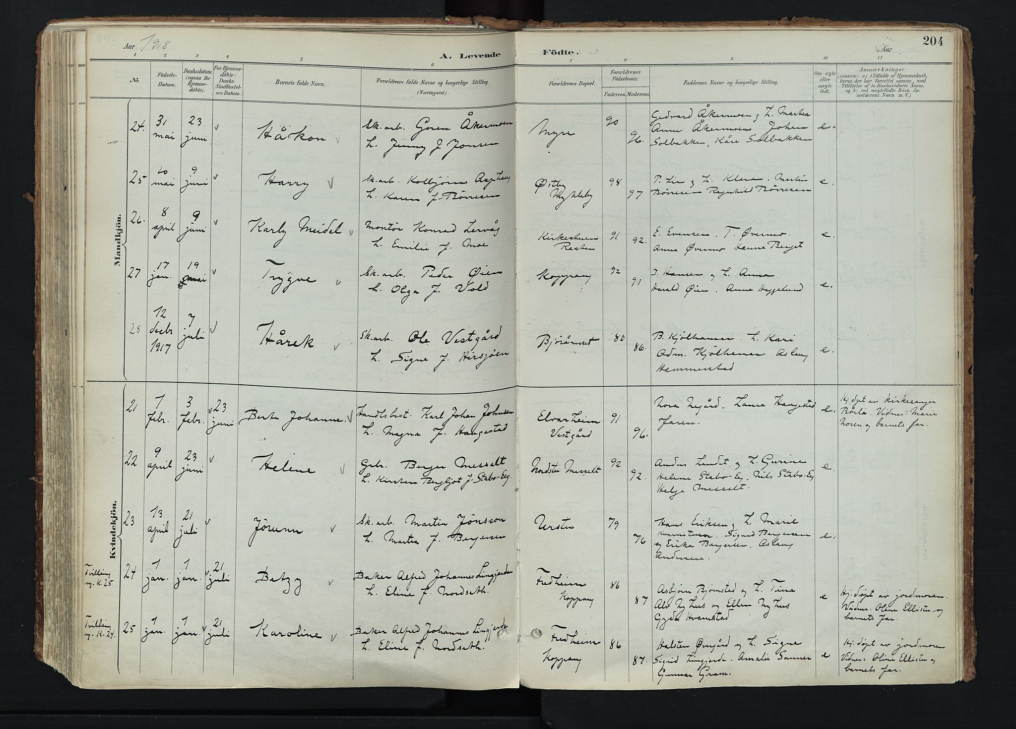 Stor-Elvdal prestekontor, AV/SAH-PREST-052/H/Ha/Haa/L0004: Parish register (official) no. 4, 1890-1922, p. 204