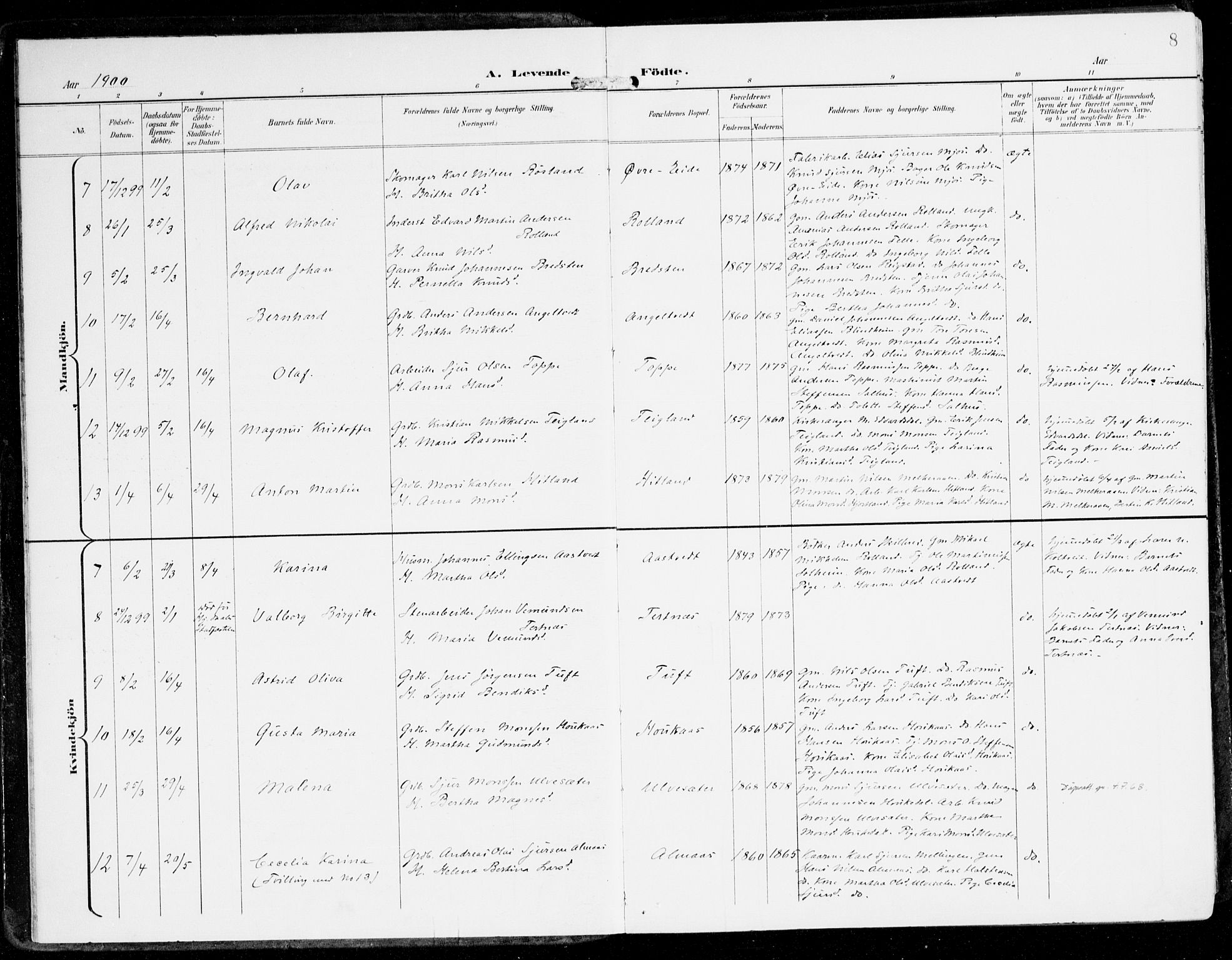 Hamre sokneprestembete, SAB/A-75501/H/Ha/Haa/Haad/L0002: Parish register (official) no. D 2, 1899-1916, p. 8